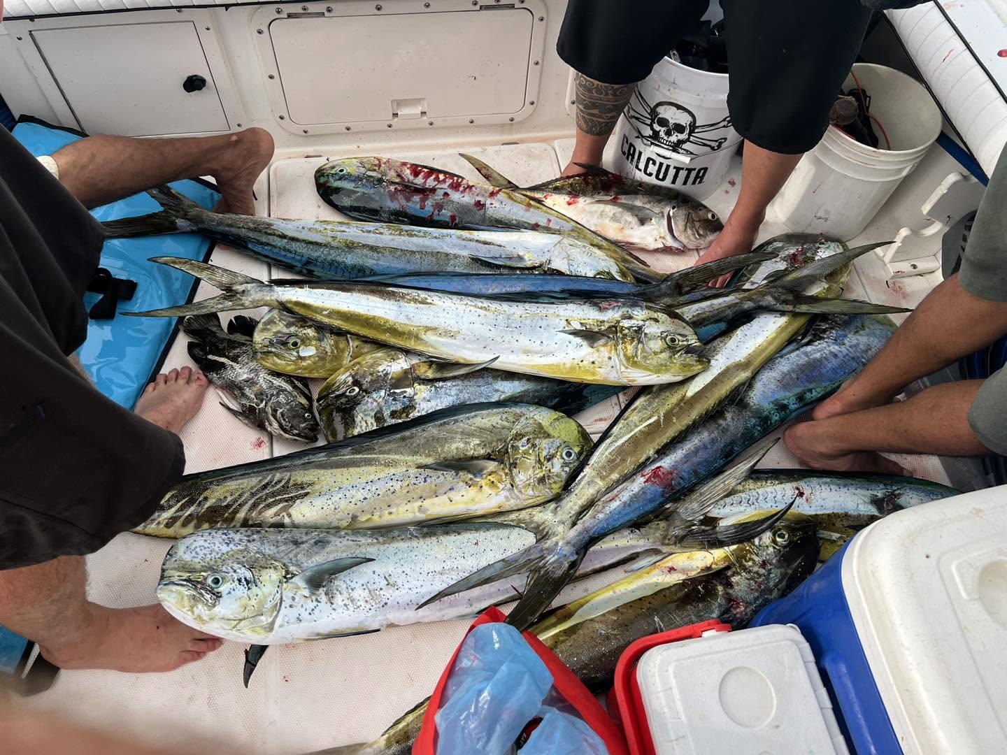 4-8 Hour Offshore Fishing Trip