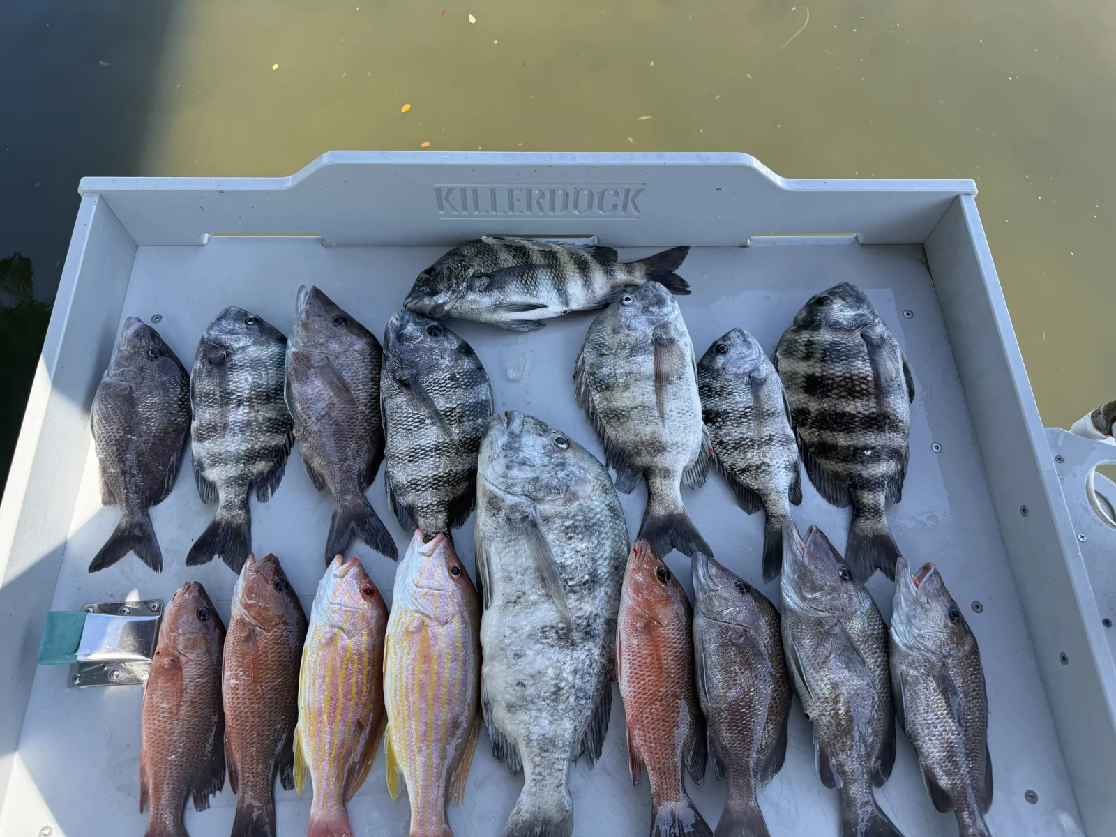 Fishing in Destin