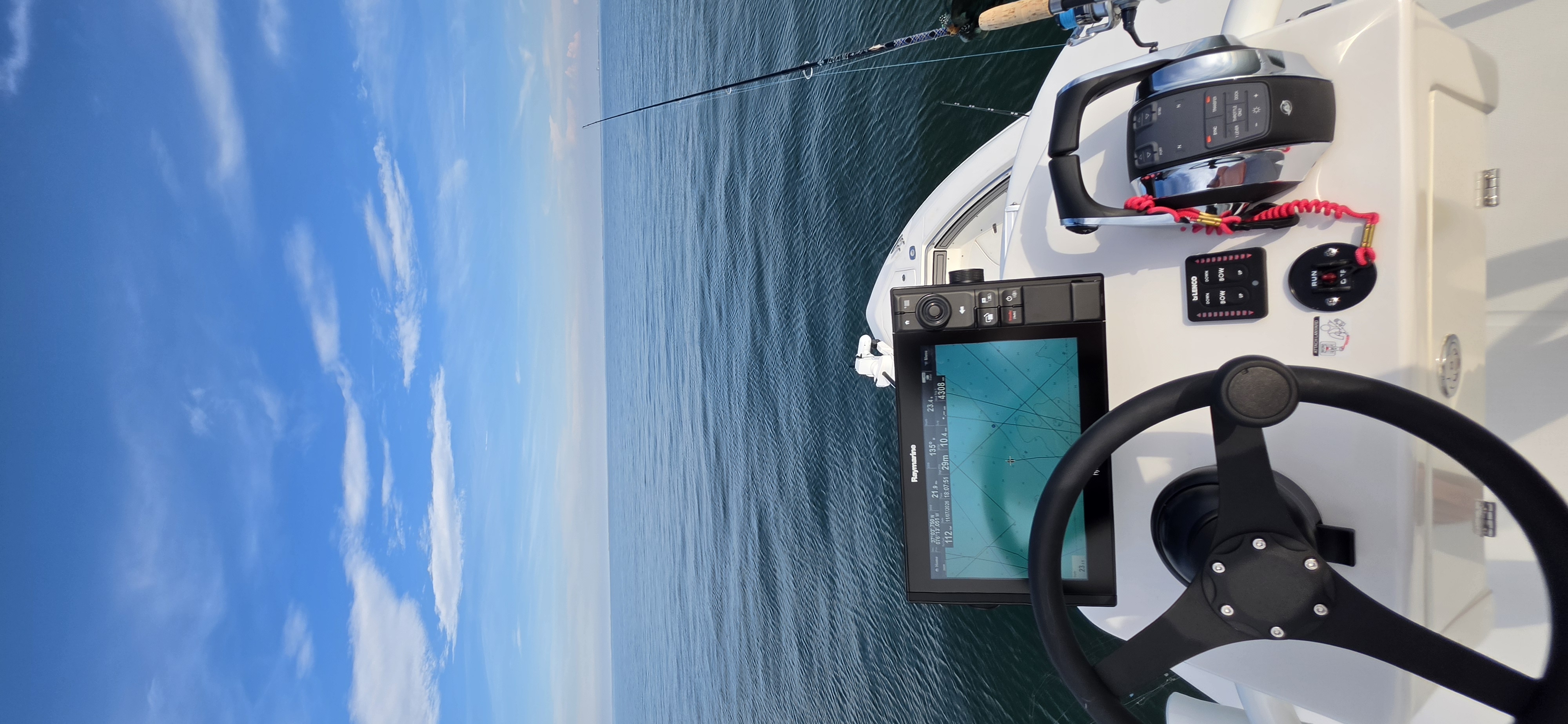 Cobia Sight Fishing 