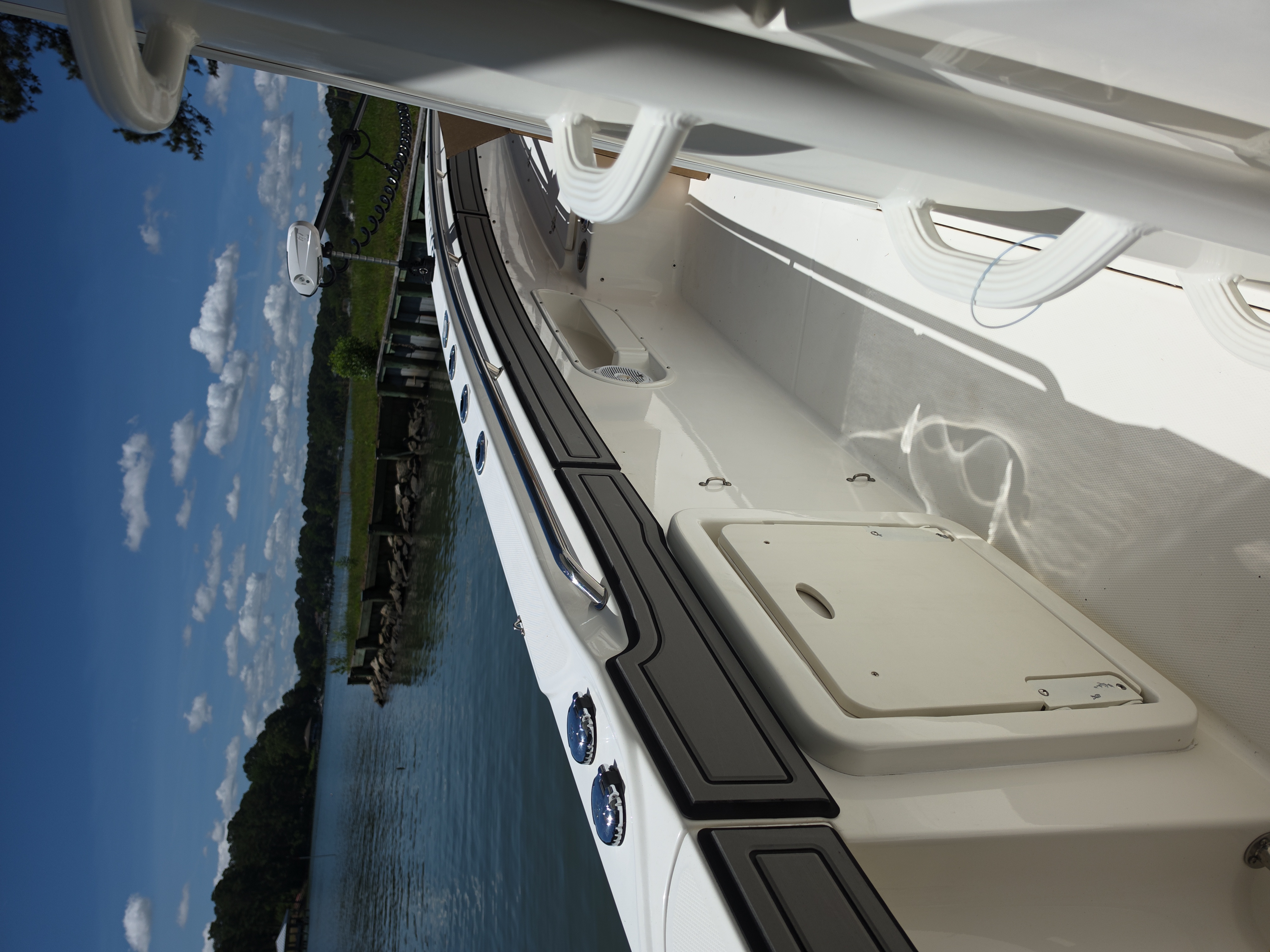 Cobia Sight Fishing 
