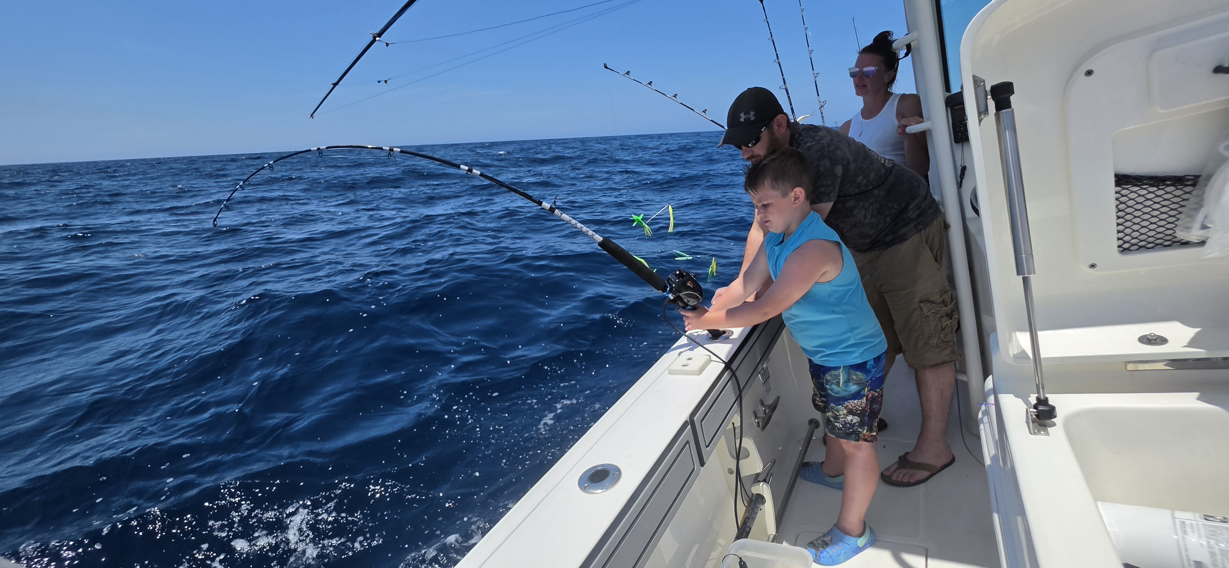 Cobia Sight Fishing 