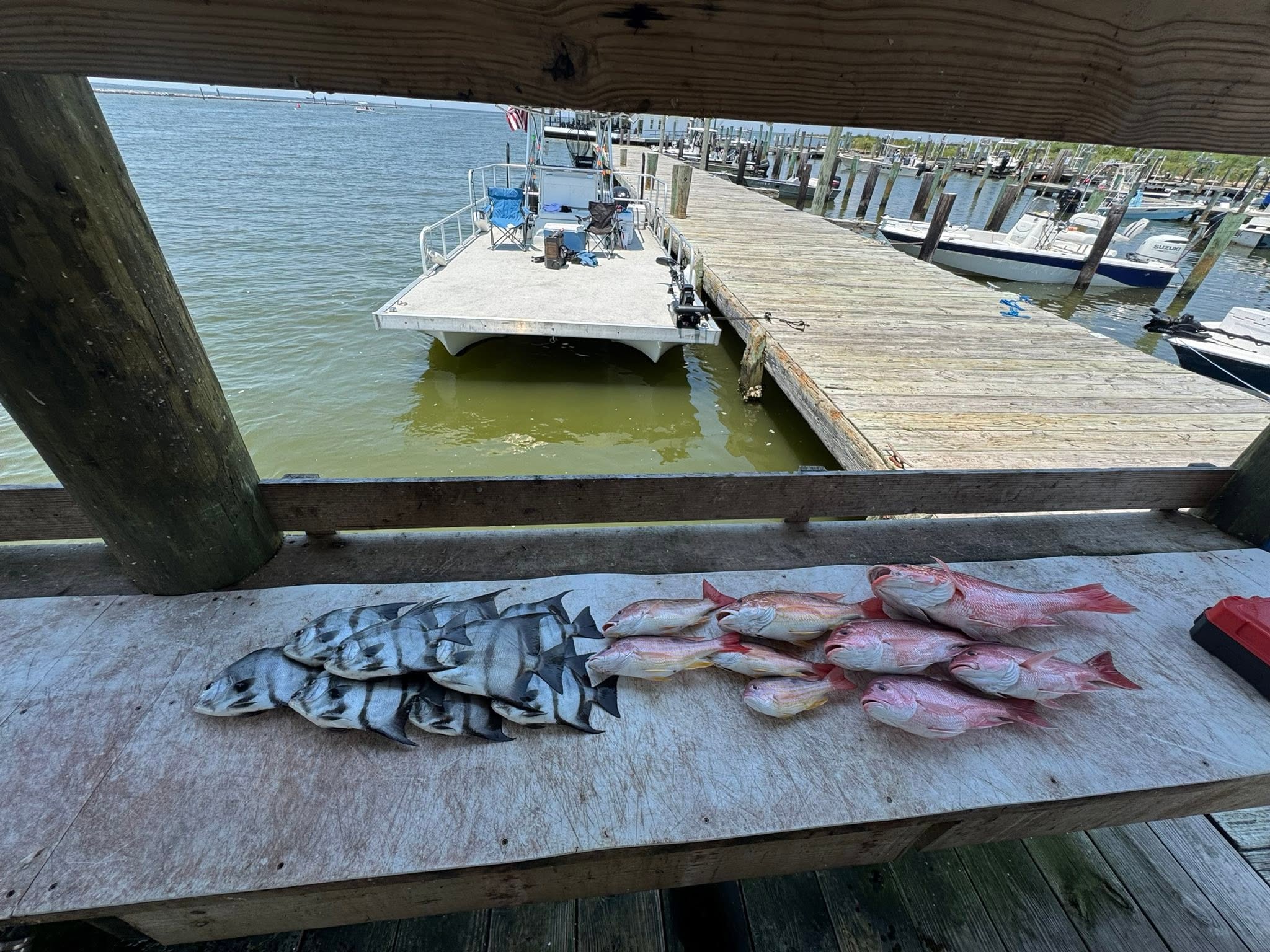 Fishing in Destin