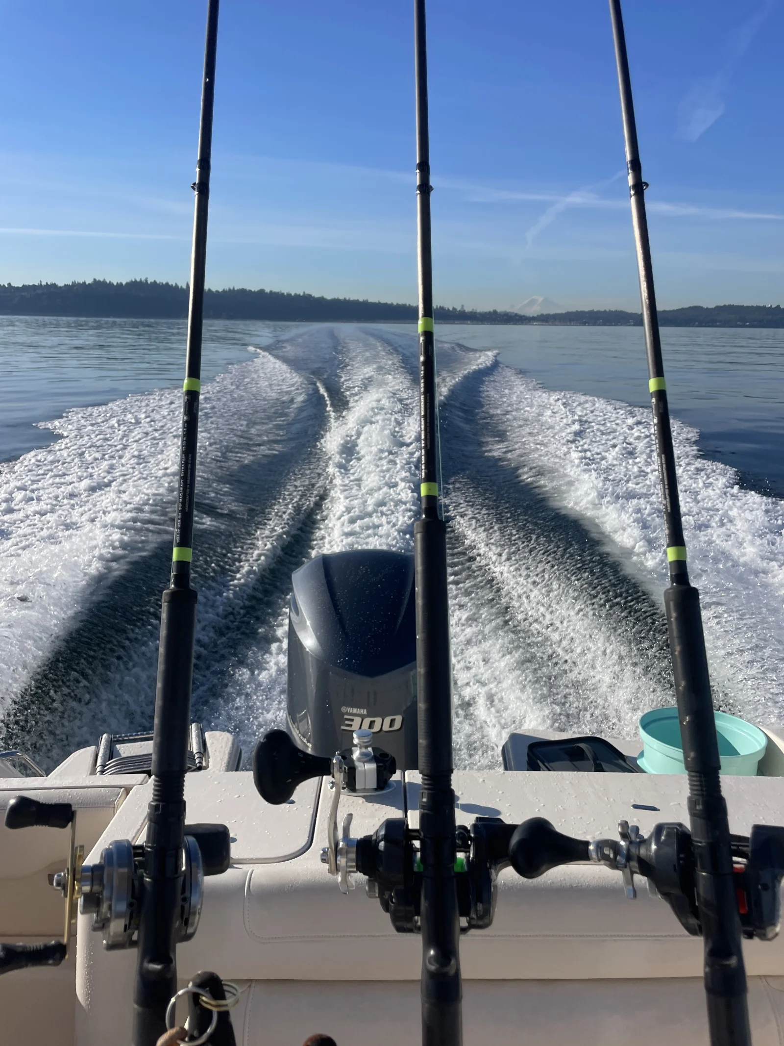 Boat photo for Seattle Salmon Drift Fishing