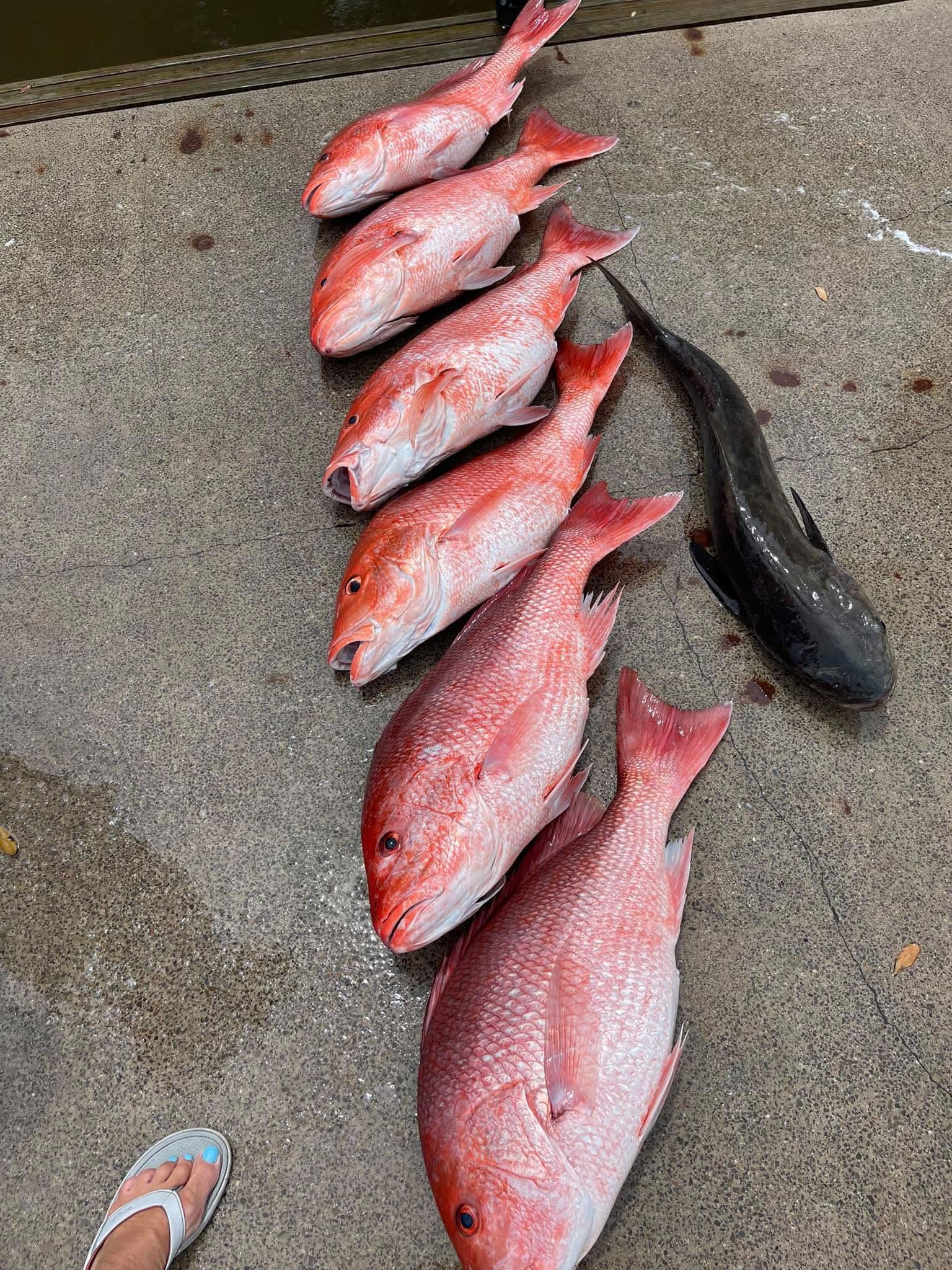Fishing in Destin