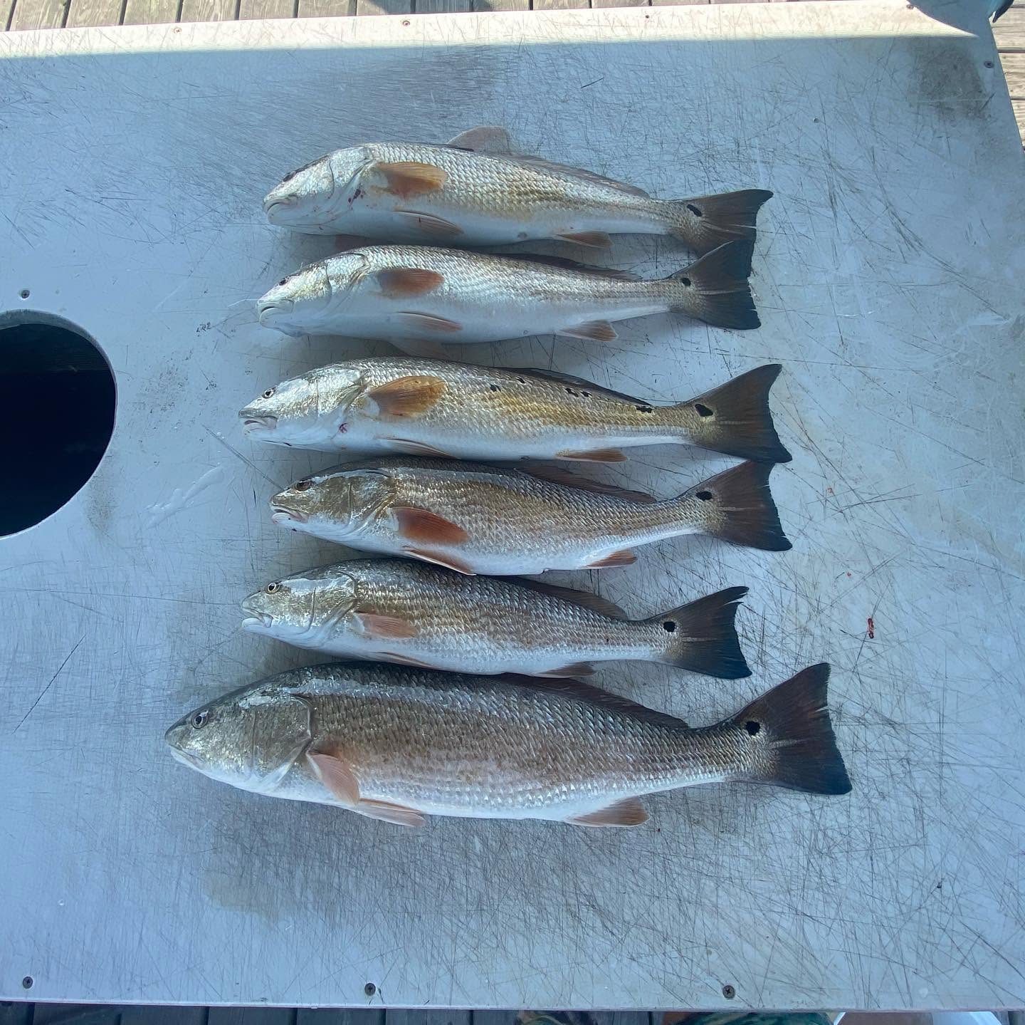 Fishing in Destin