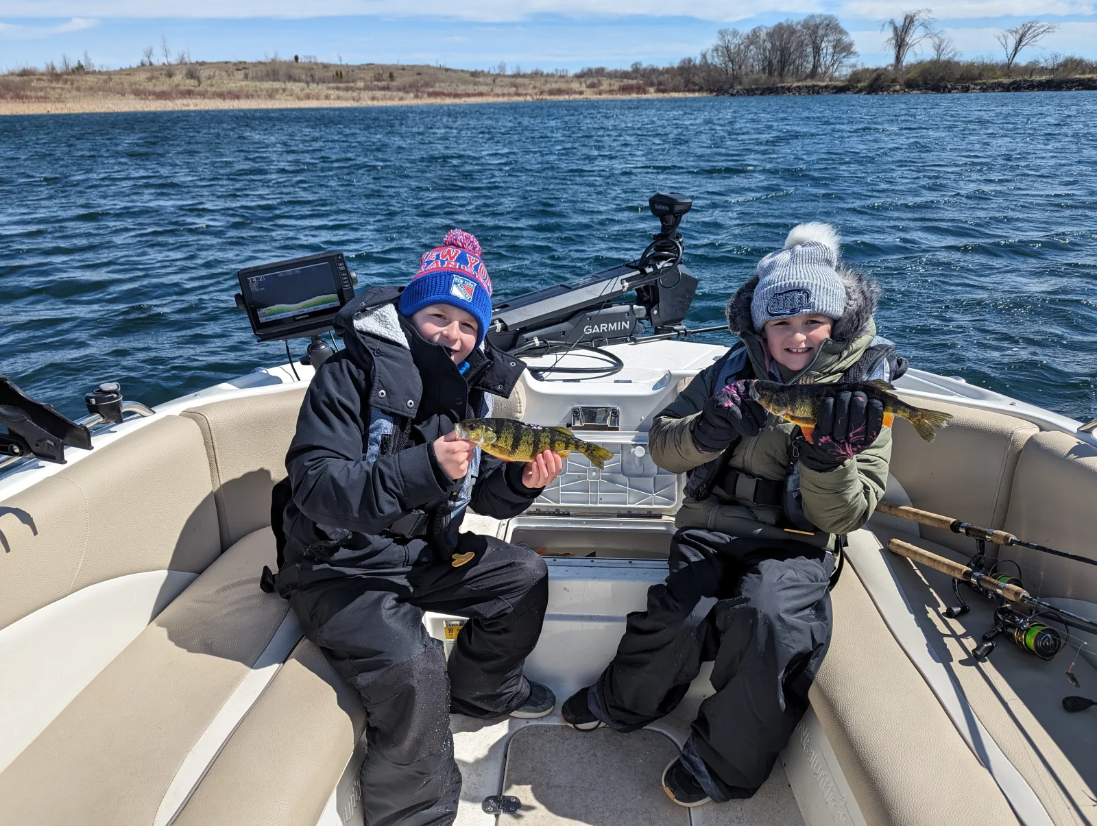 Spring Or Fall Perch