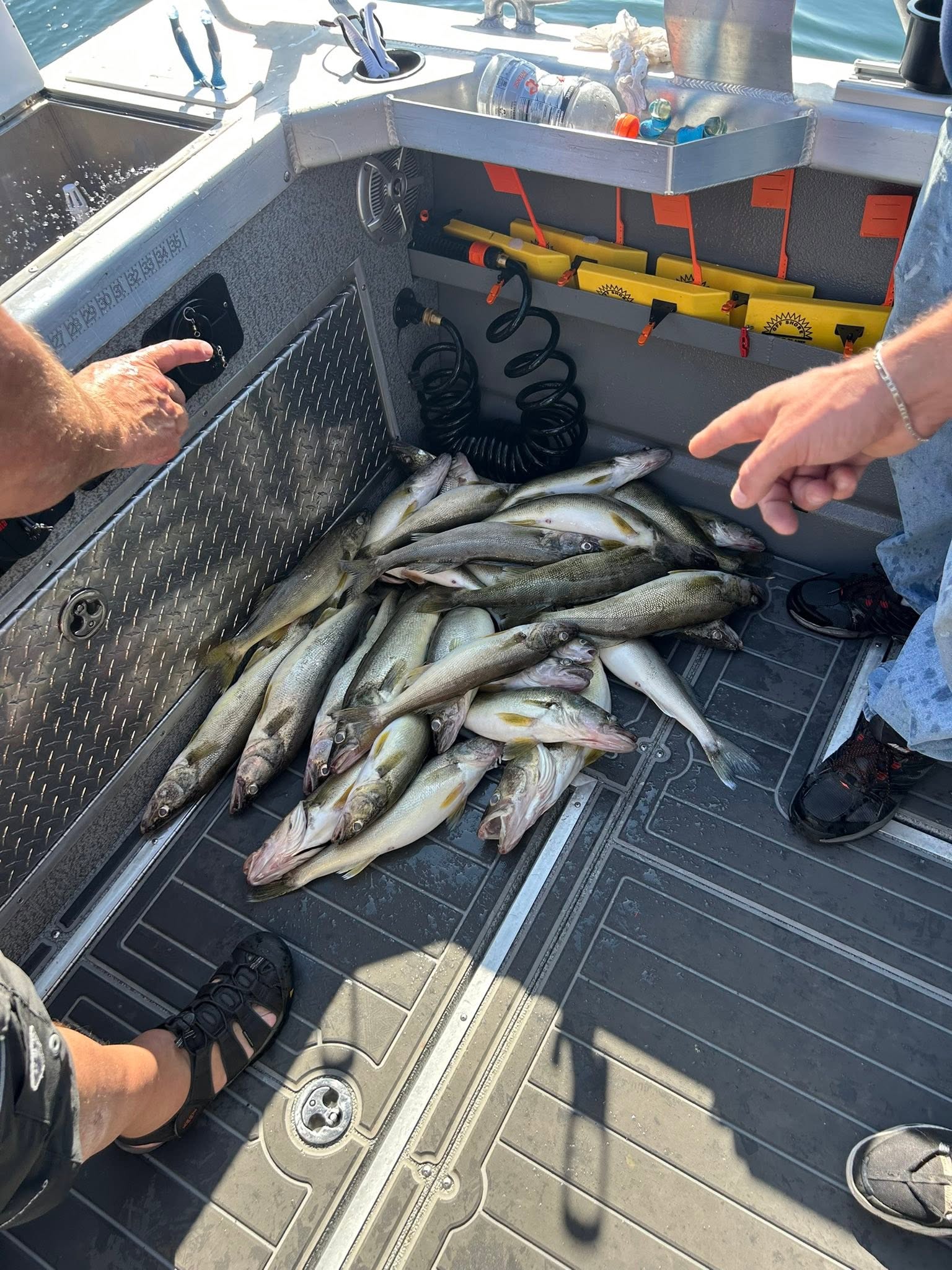 Walleye And Steelhead Fishing