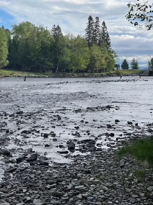 Fly Fishing Trip