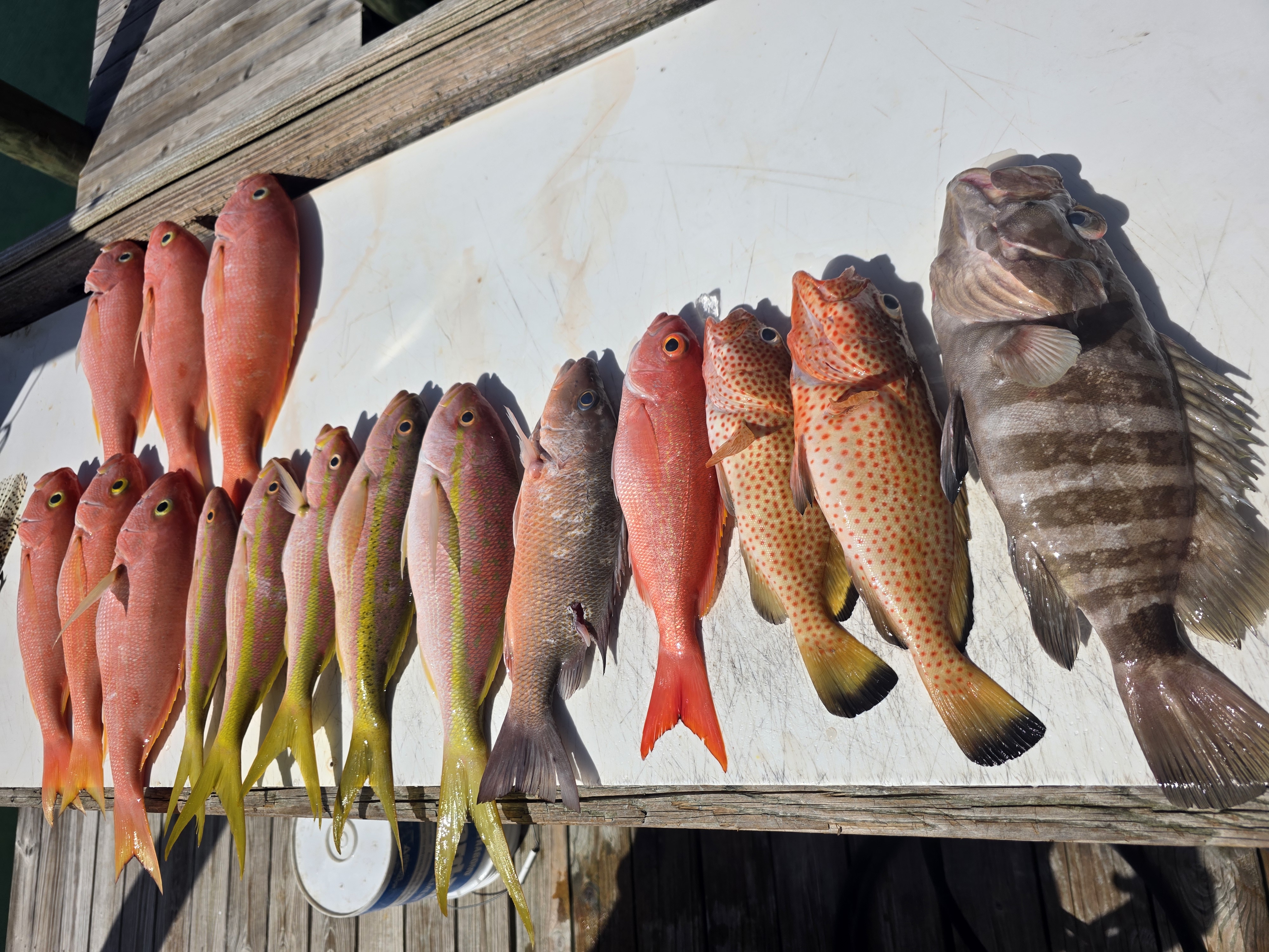 Fishing in Destin