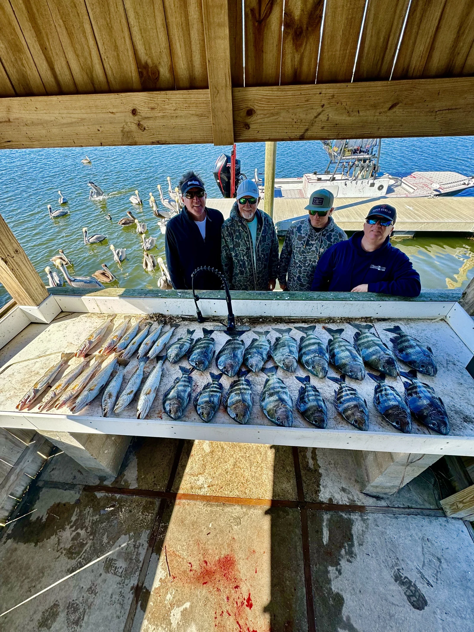 Fishing in Destin