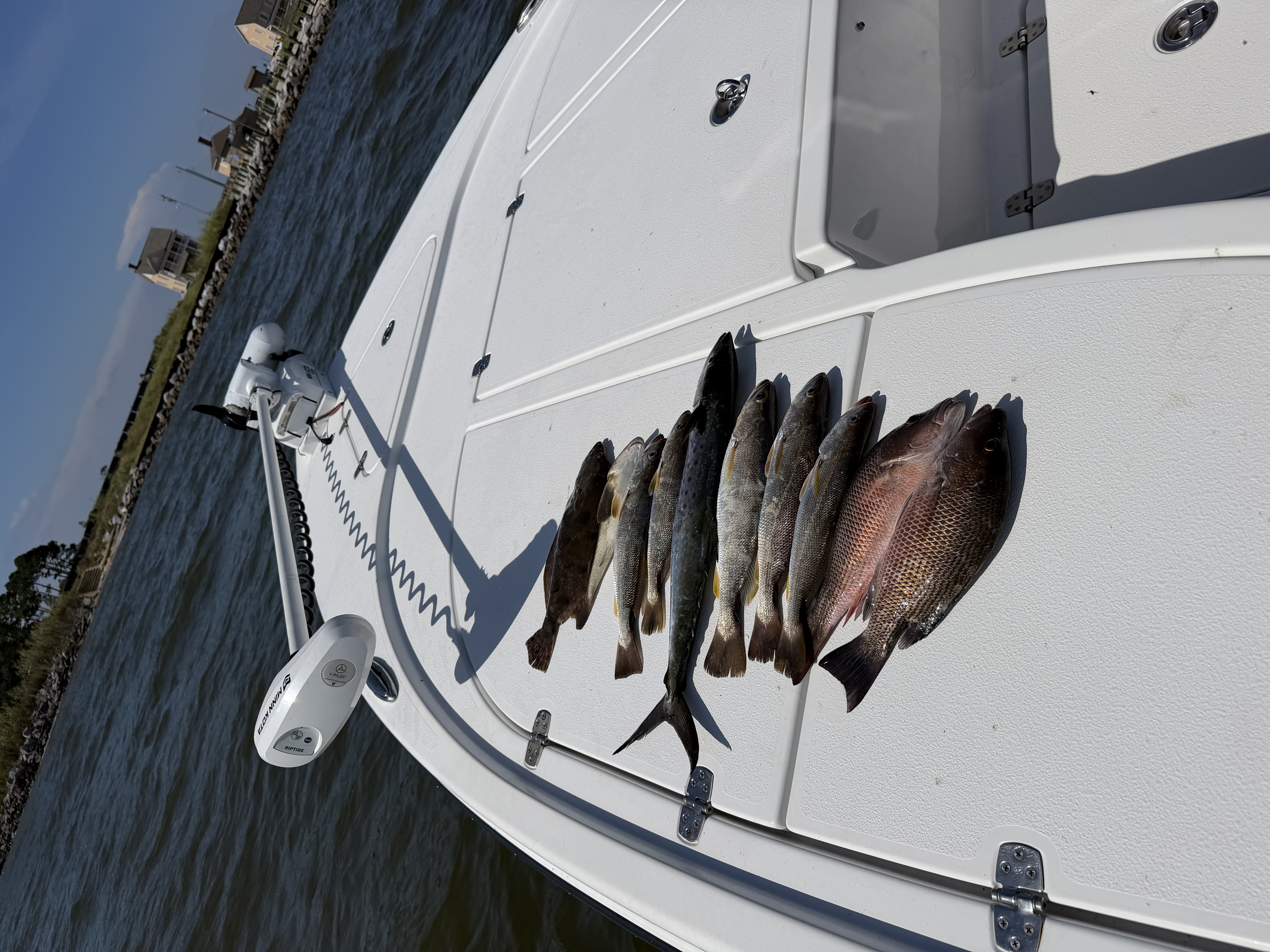 Fishing in Destin