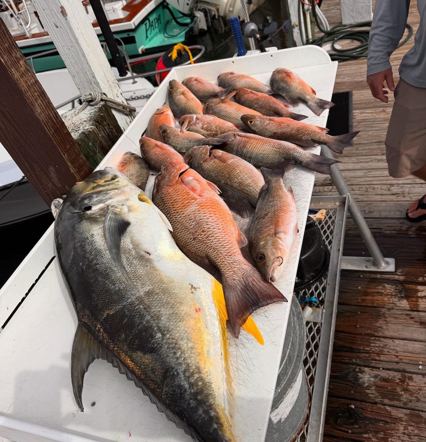 Fishing in Destin
