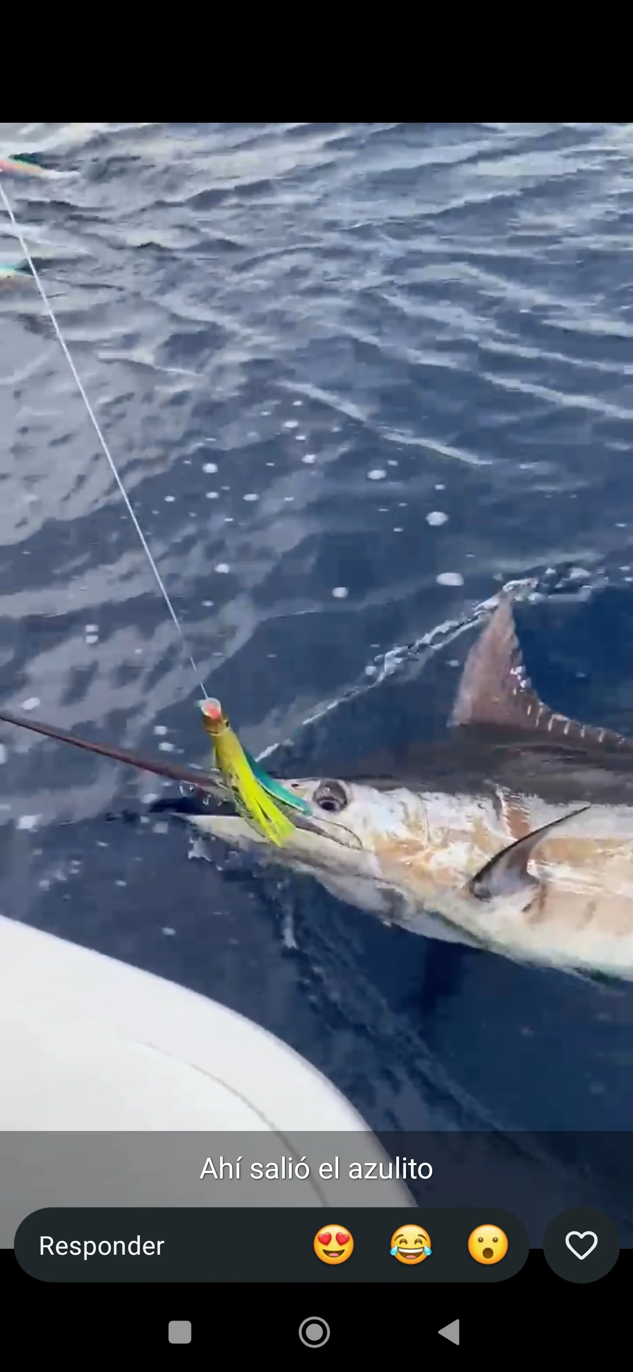 Offshore Tuna Time
