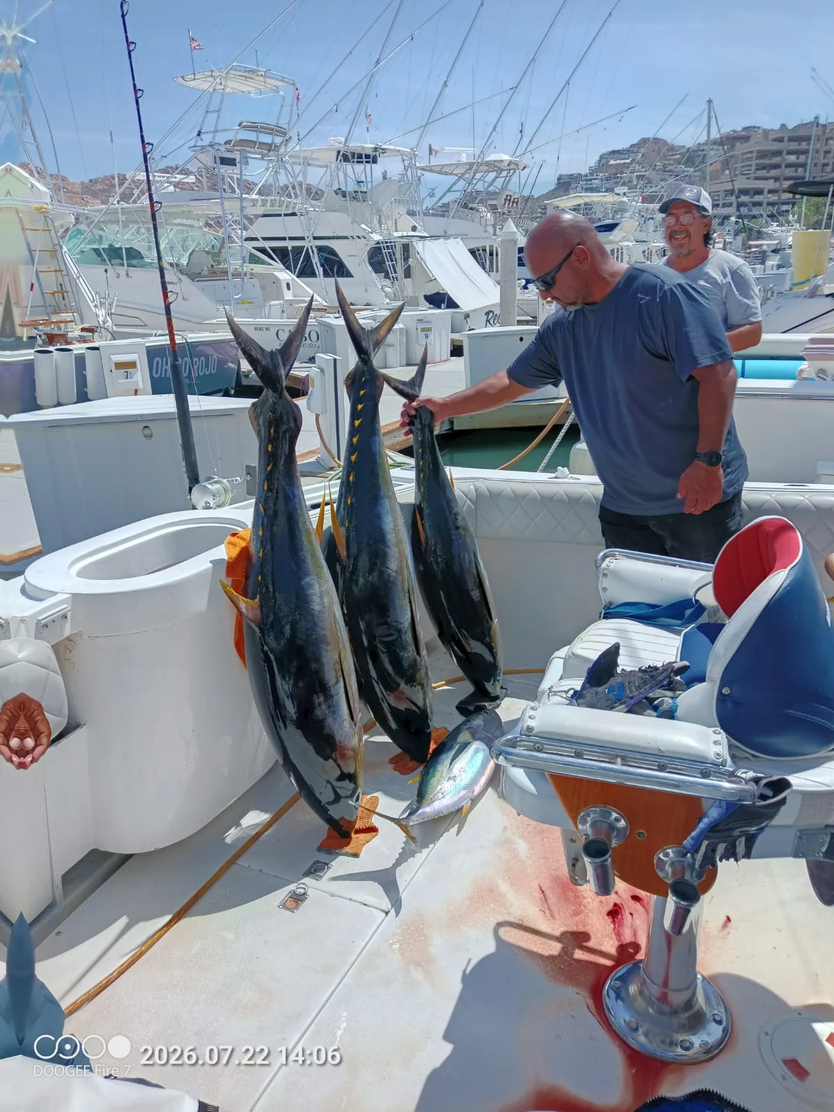 Offshore Tuna Time