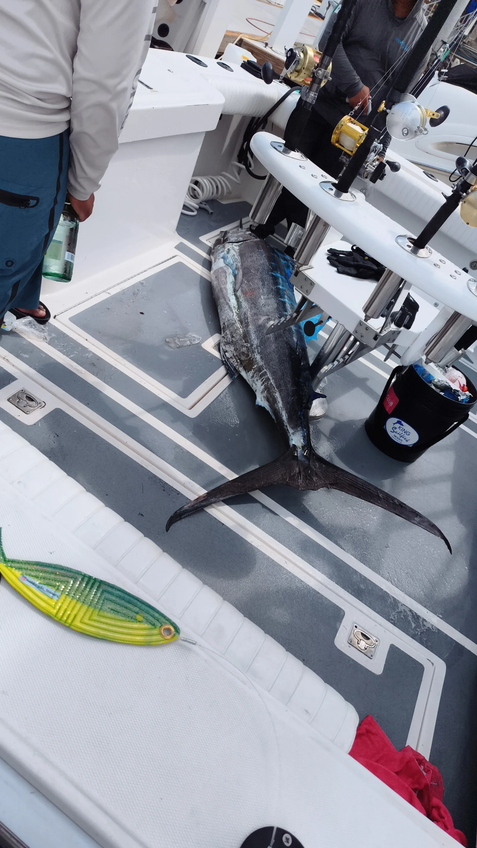 Offshore Tuna Time