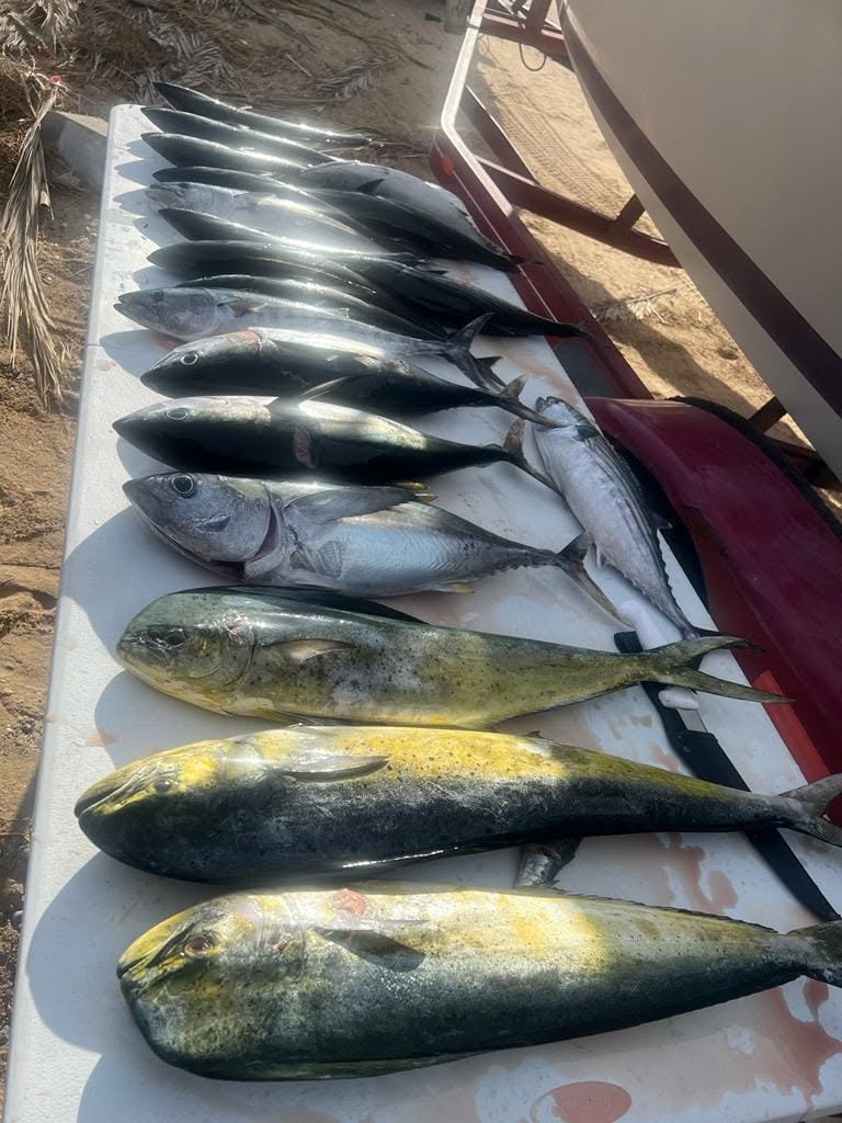 Offshore Tuna Time