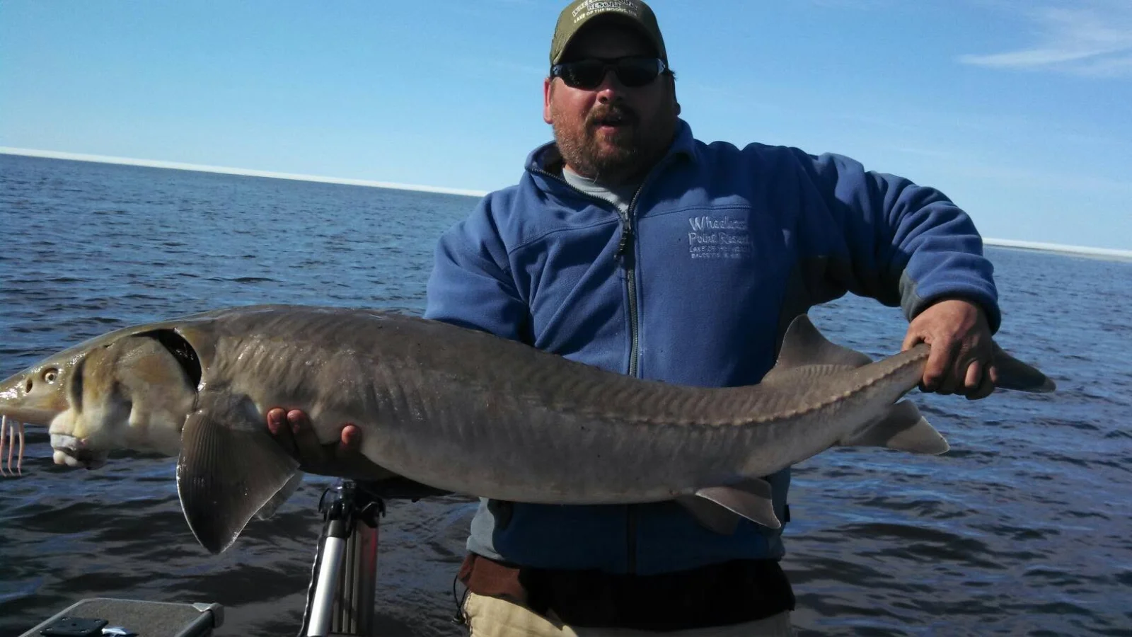 Sturgeon Trips