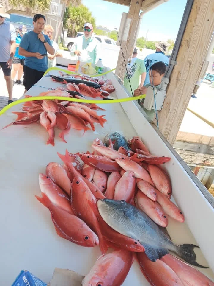 Fishing in Destin