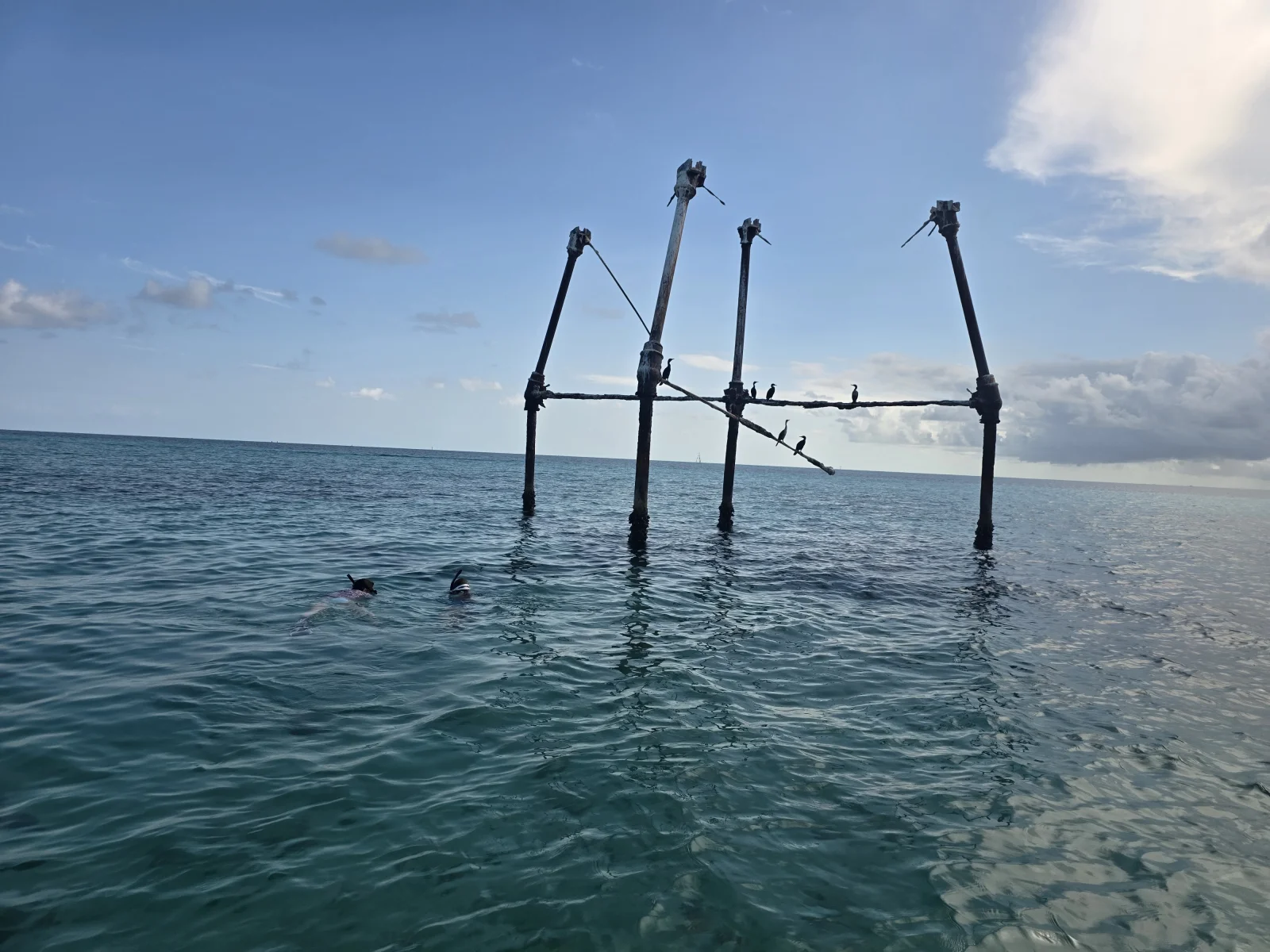 4 Hour AM Inshore Fishing Trip