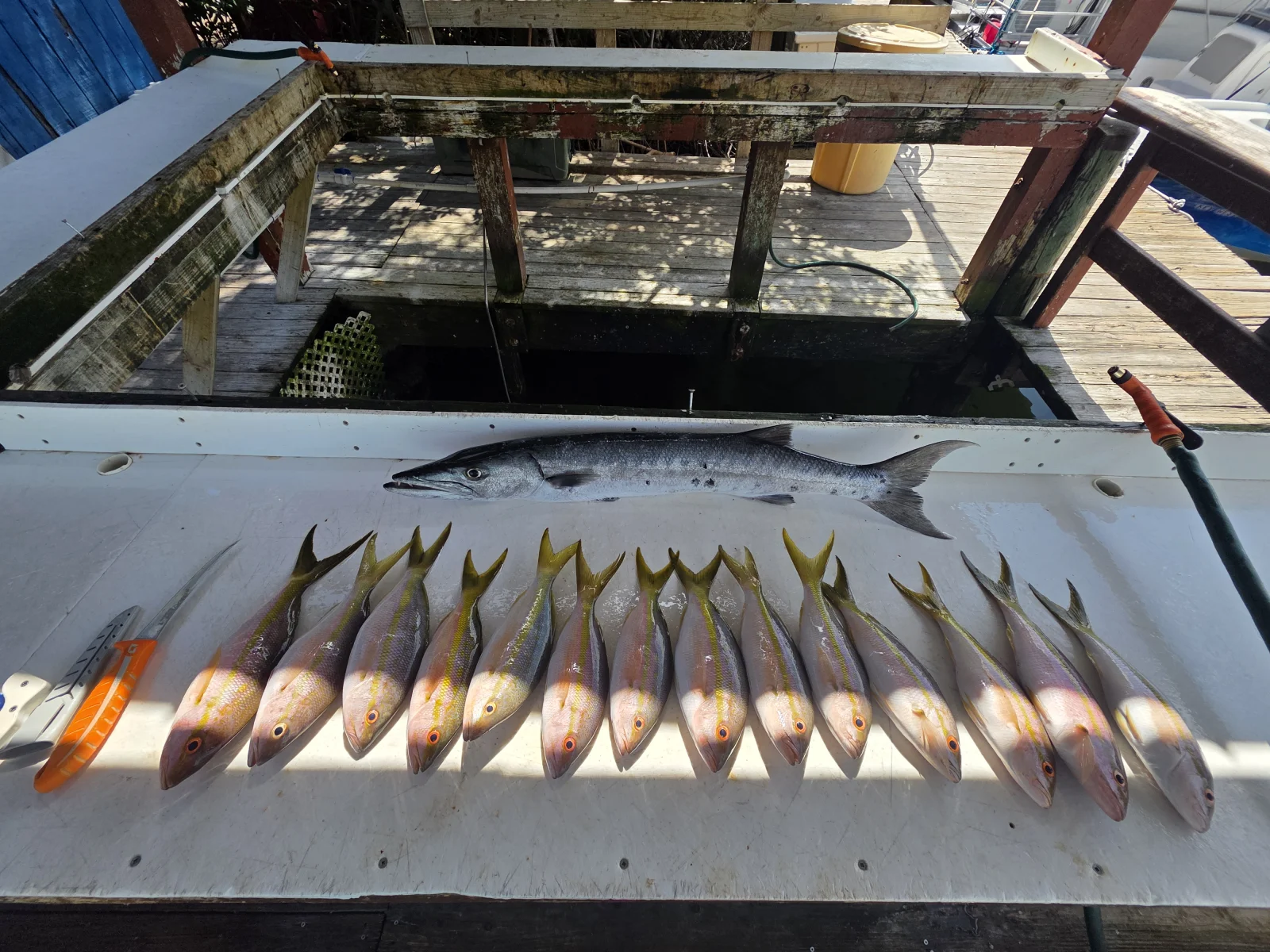 4 Hour AM Inshore Fishing Trip
