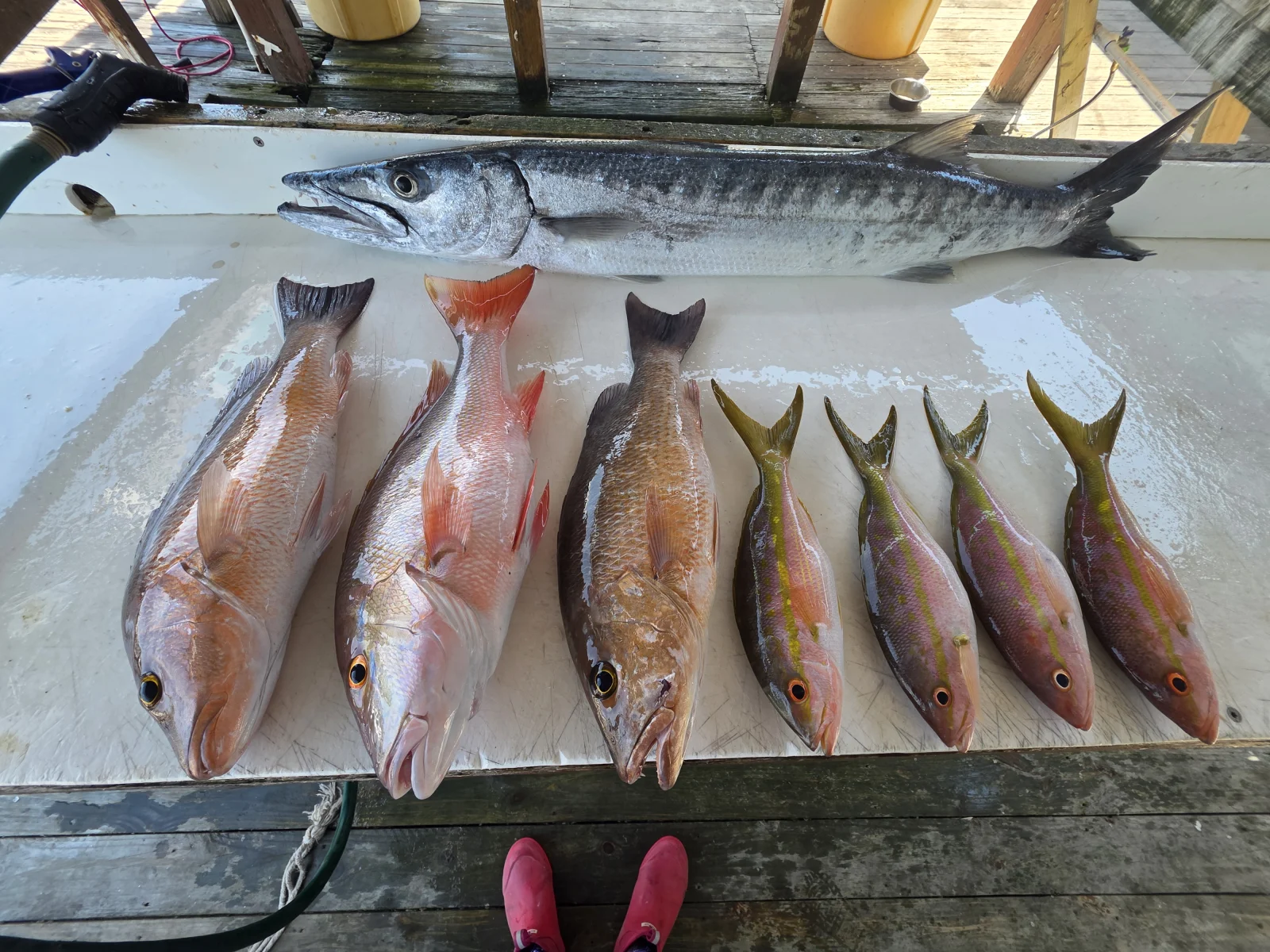 Fishing in Destin