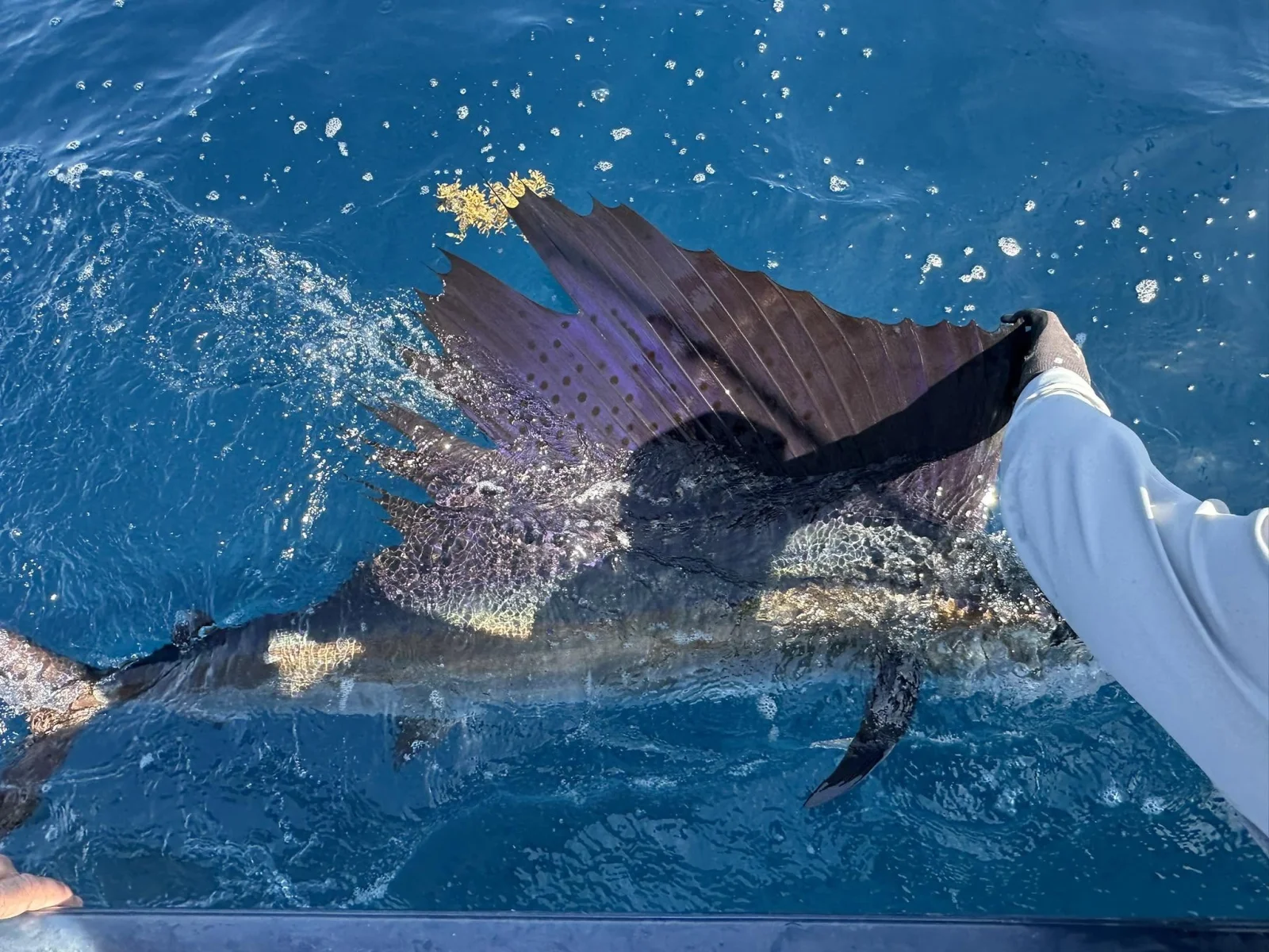 Offshore Fishing