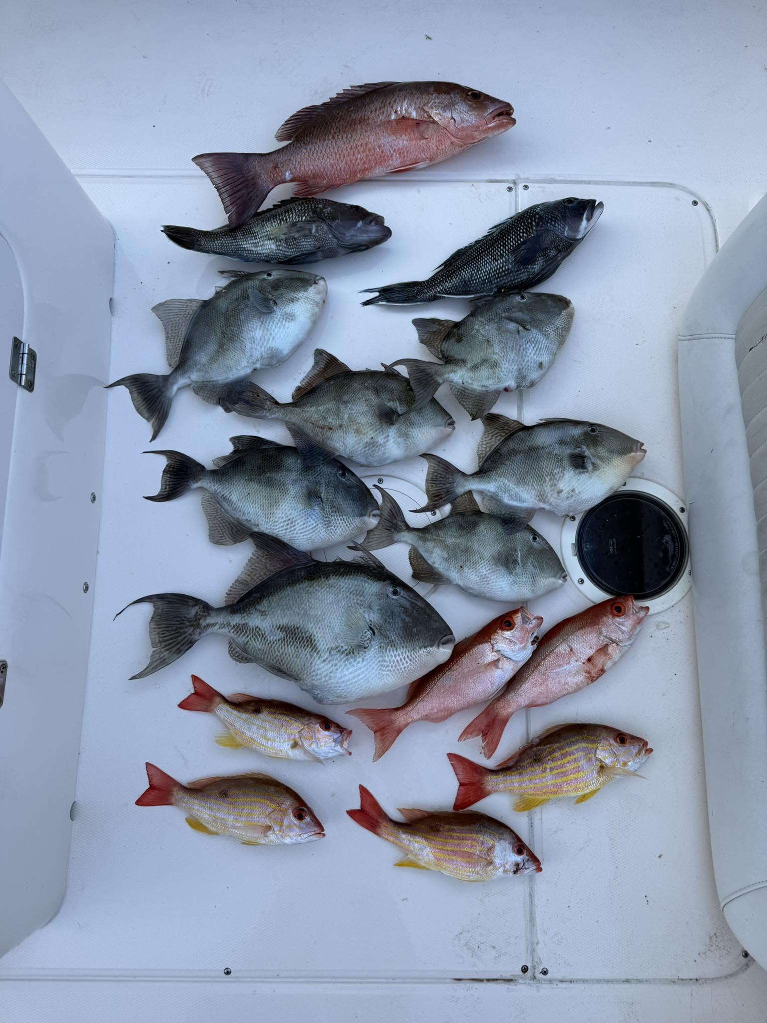 Offshore Fishing