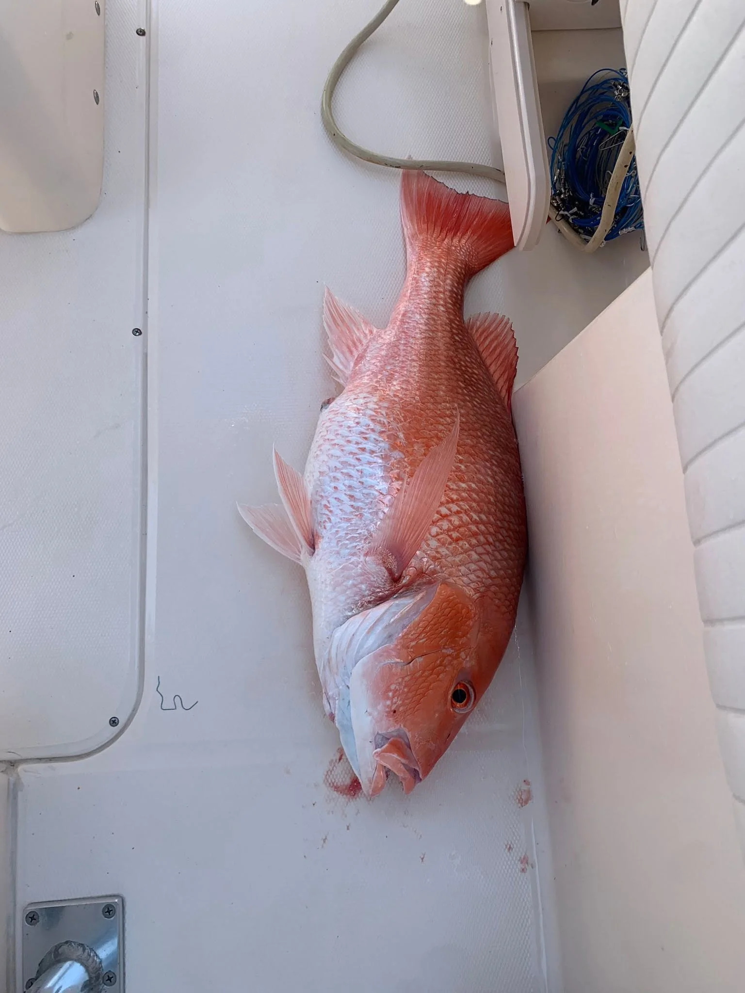 Offshore Fishing