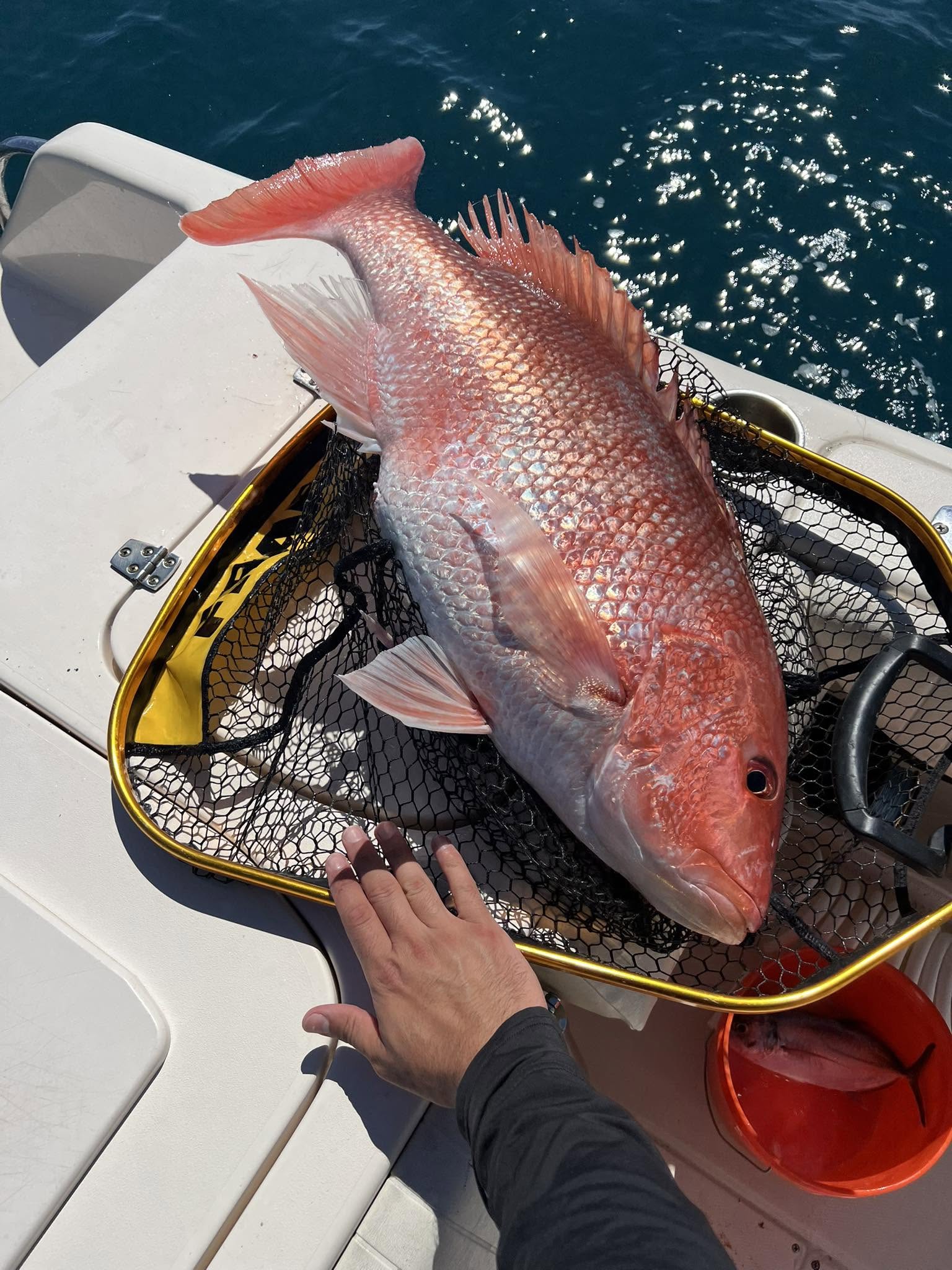 Offshore Fishing