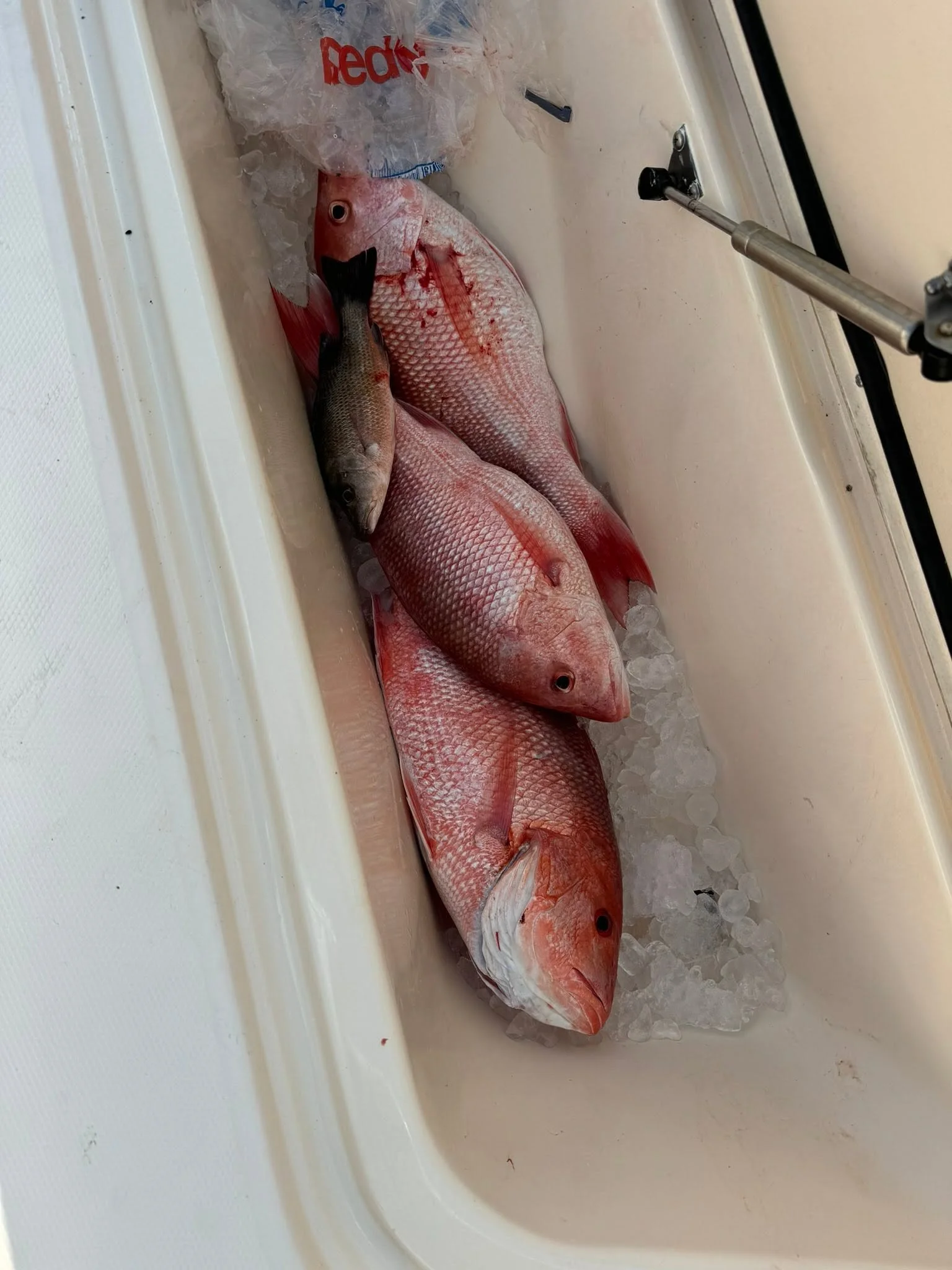 Offshore Fishing