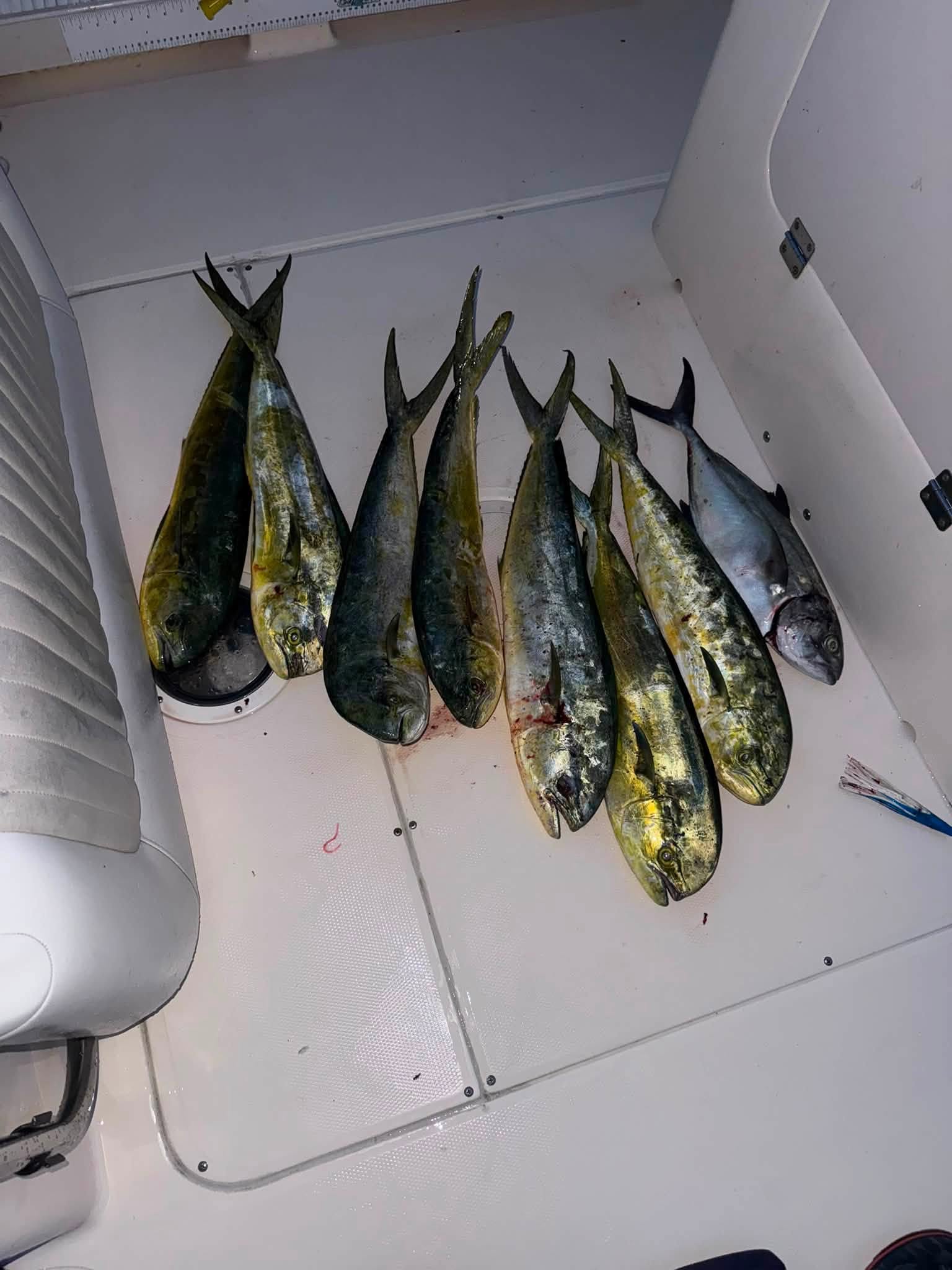 Offshore Fishing