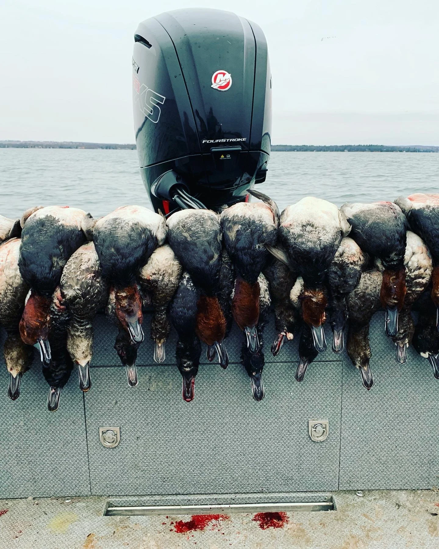 Layout Boat Duck Hunt