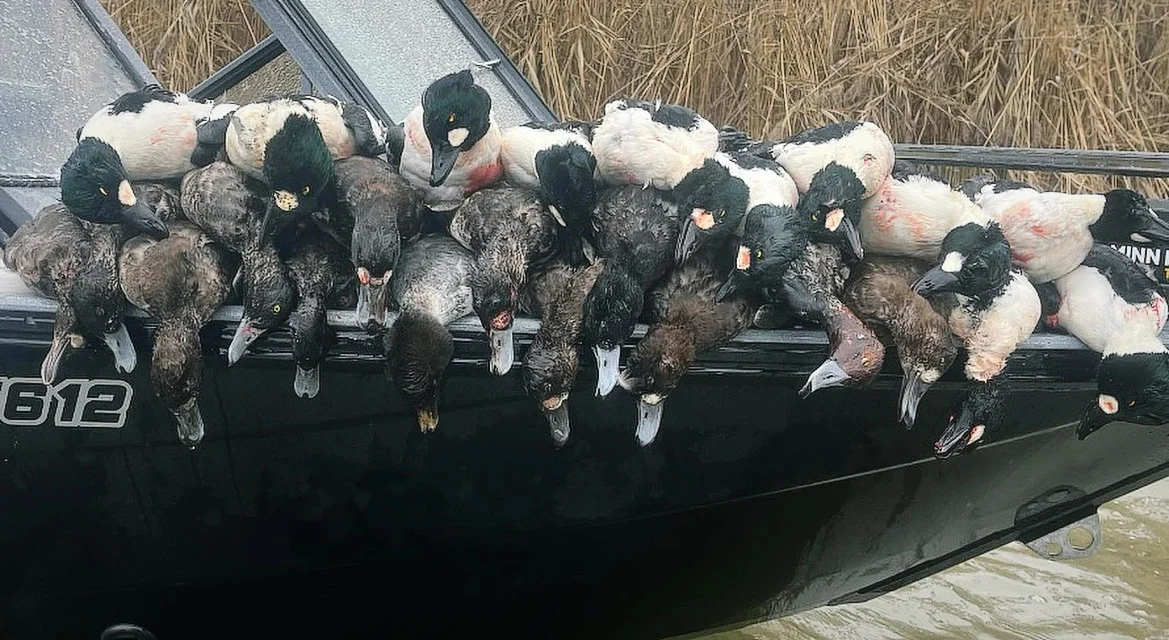 Layout Boat Duck Hunt