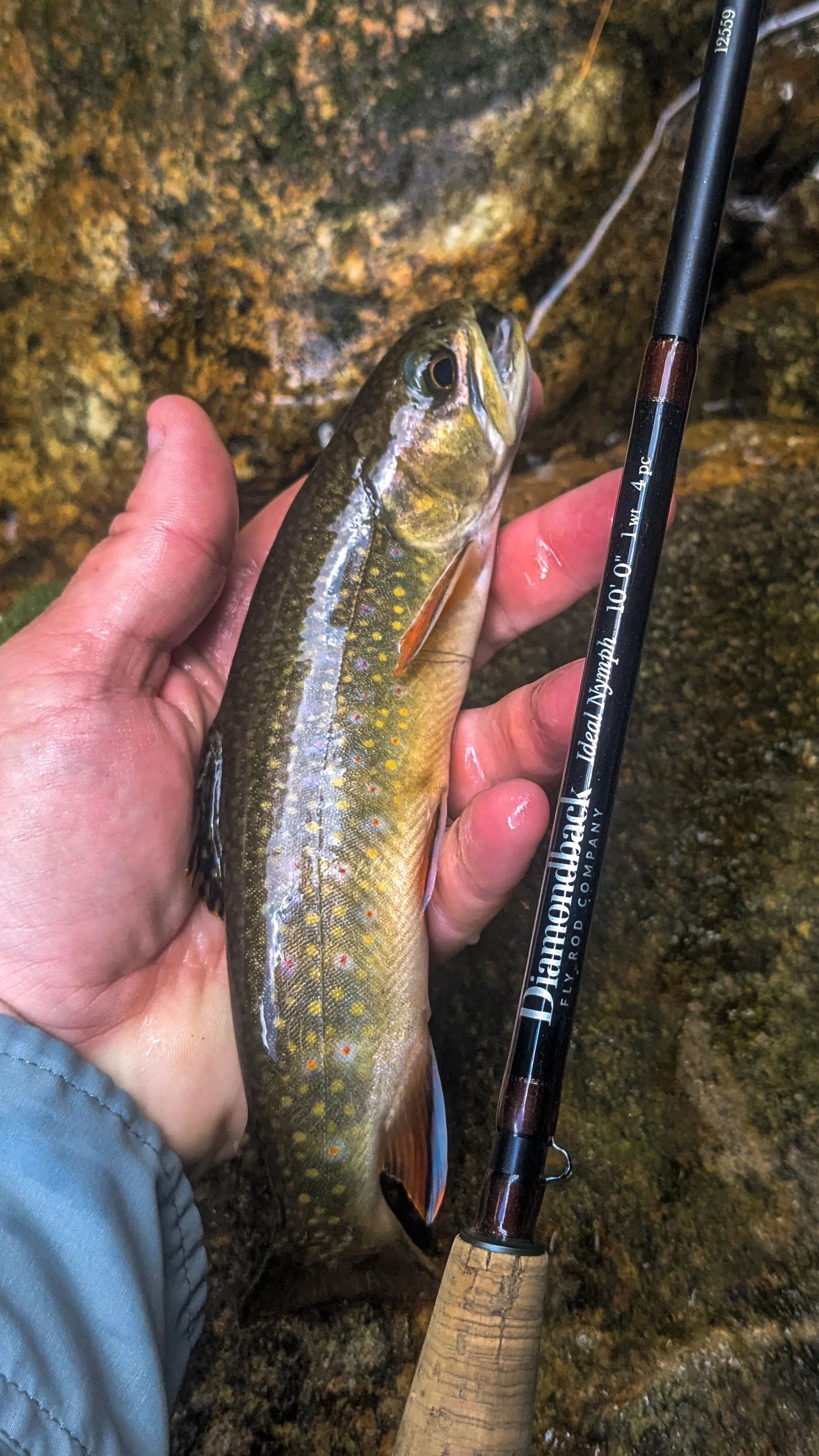 Wade Fishing Trip