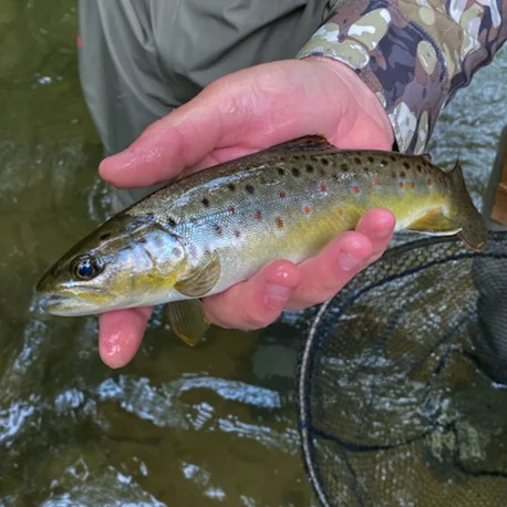 Wade Fishing Trip