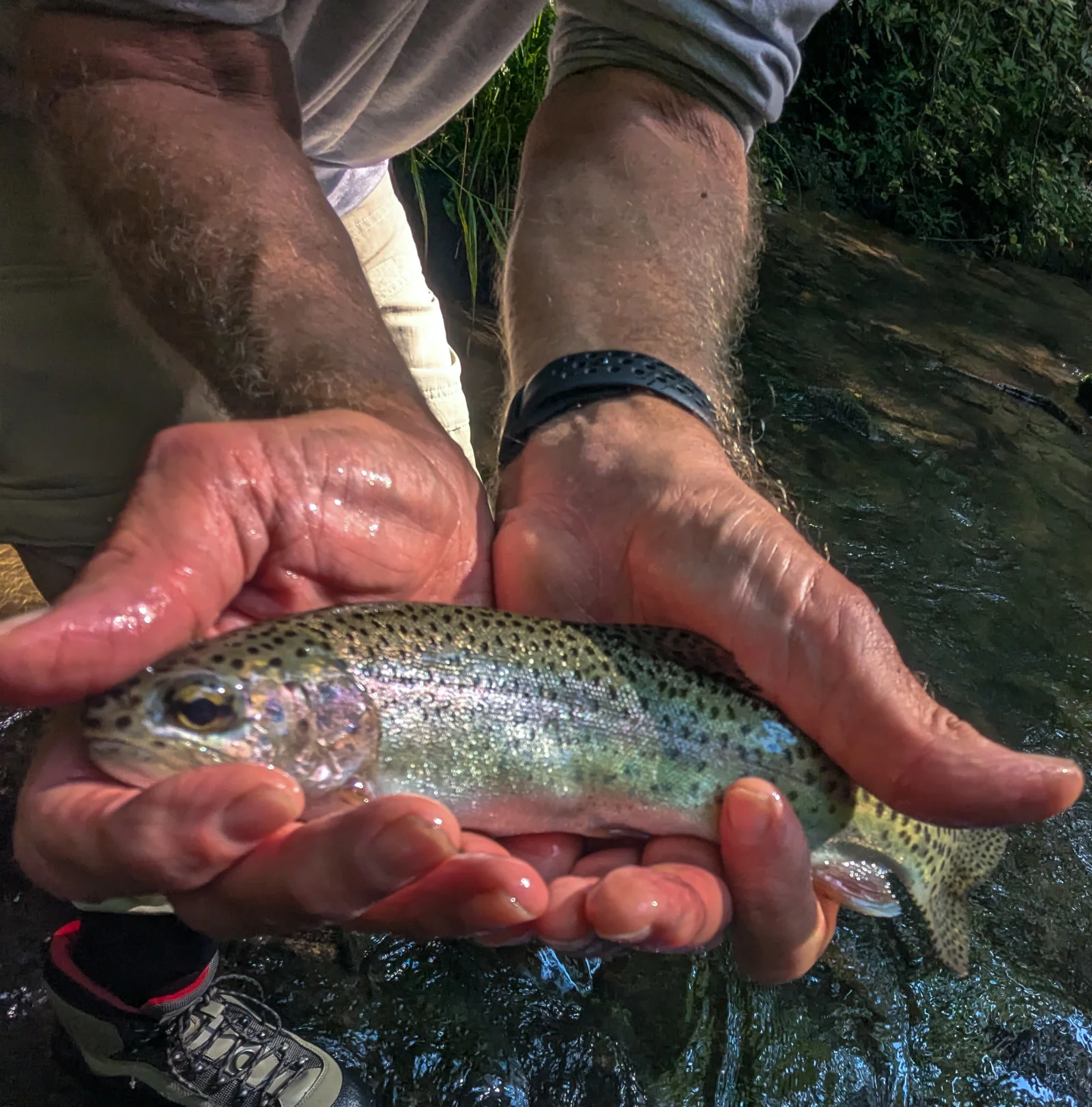 Wade Fishing Trip