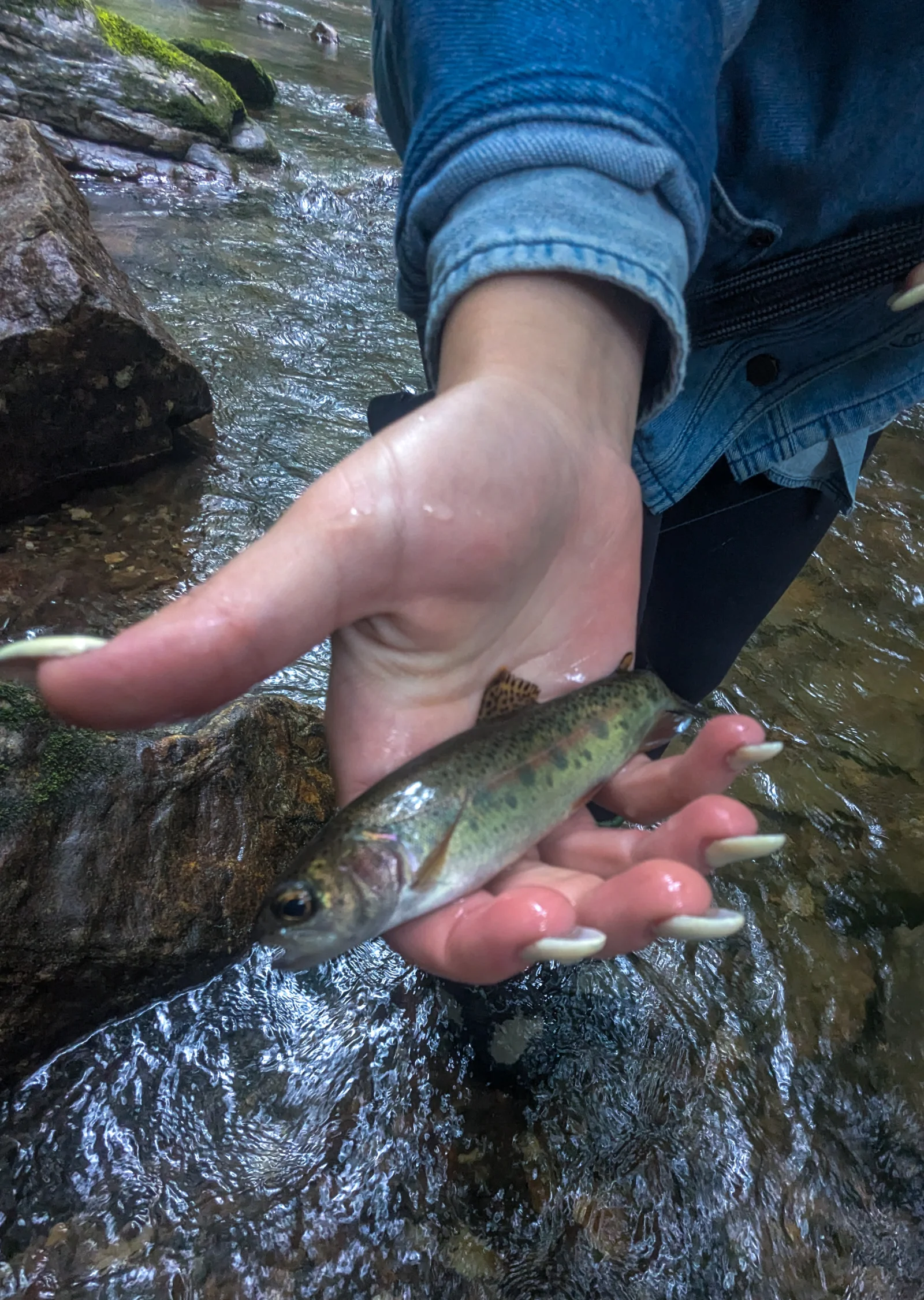 Wade Fishing Trip