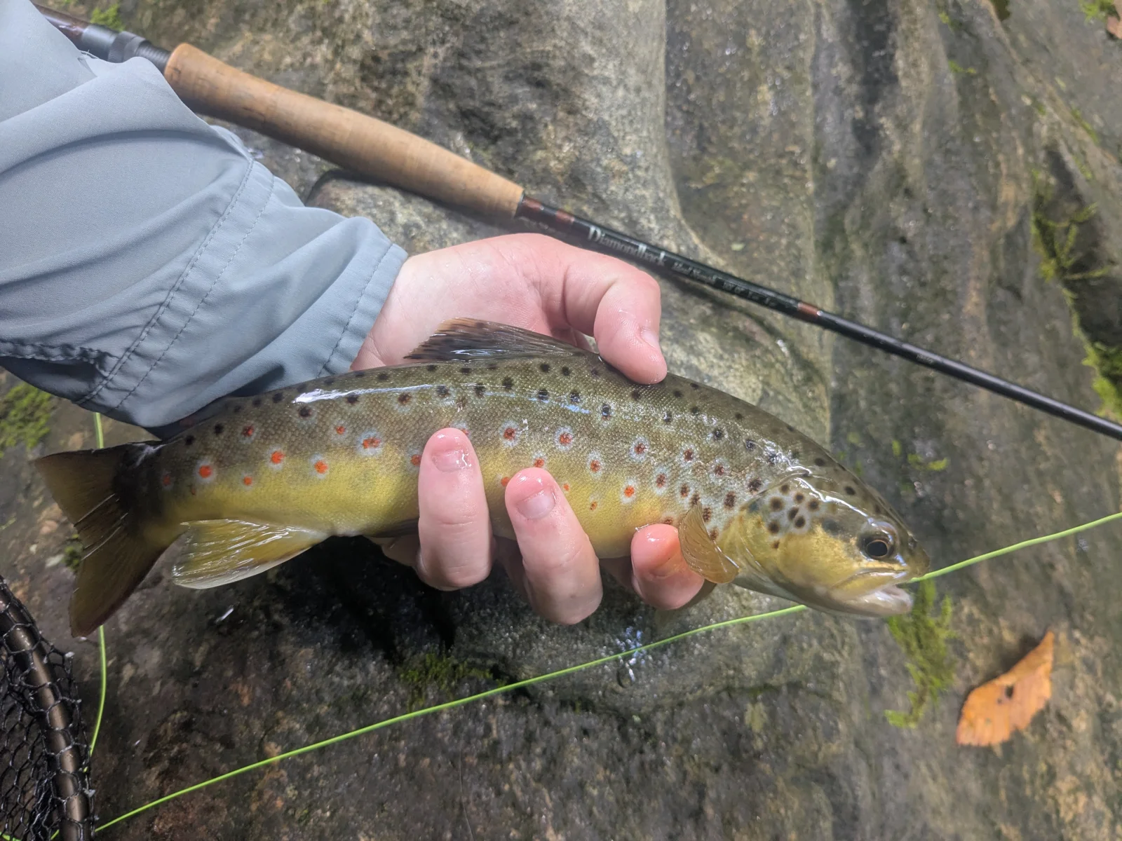 Wade Fishing Trip