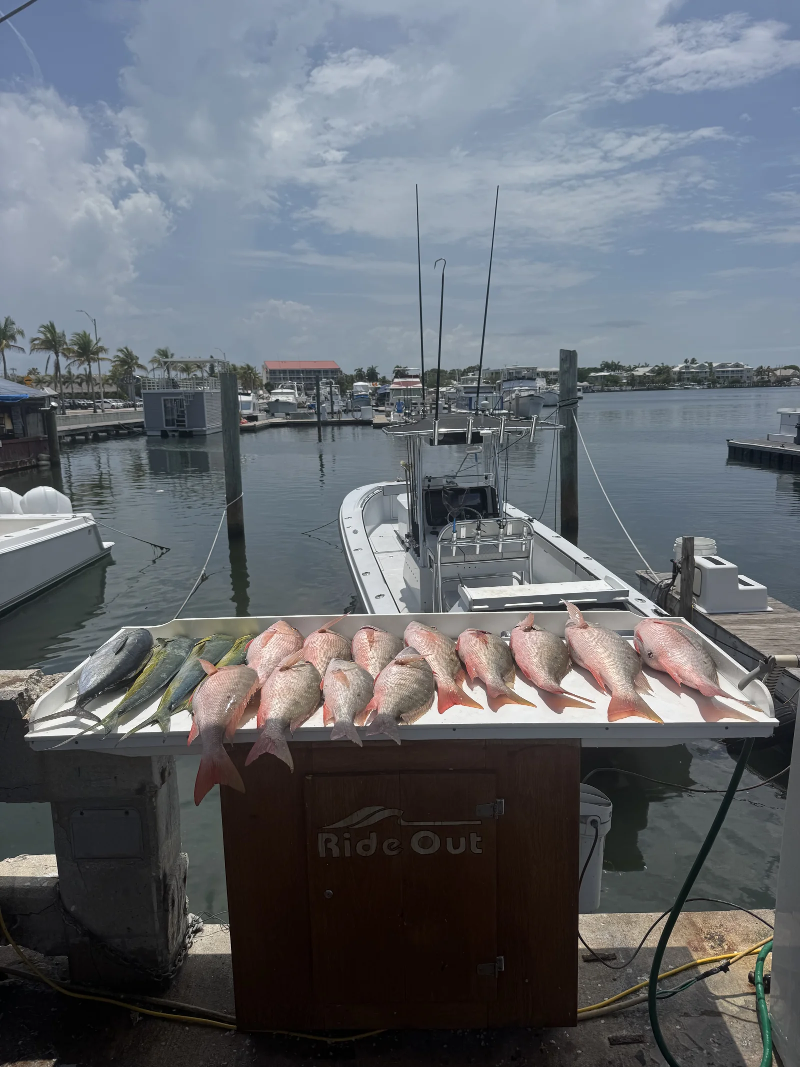 Fishing in Destin