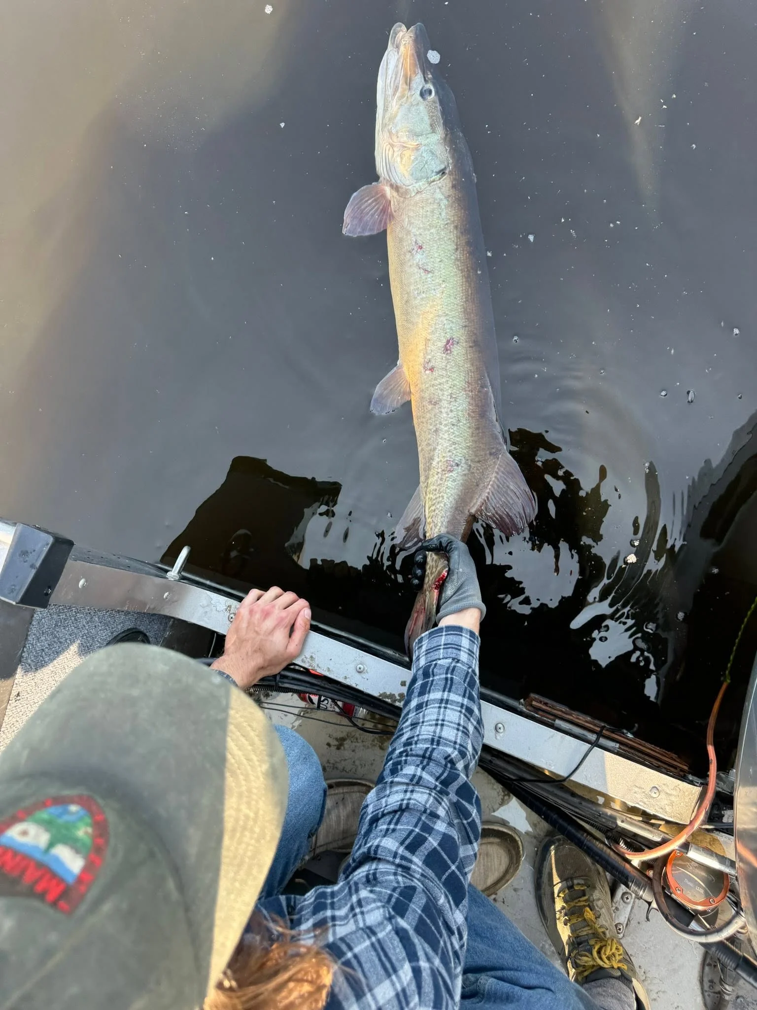 Muskie Fishing Trip