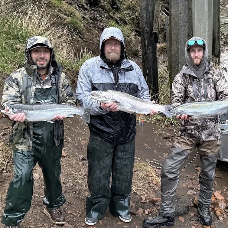 Steelhead Fishing Trip