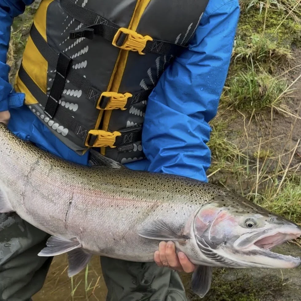 Steelhead Fishing Trip
