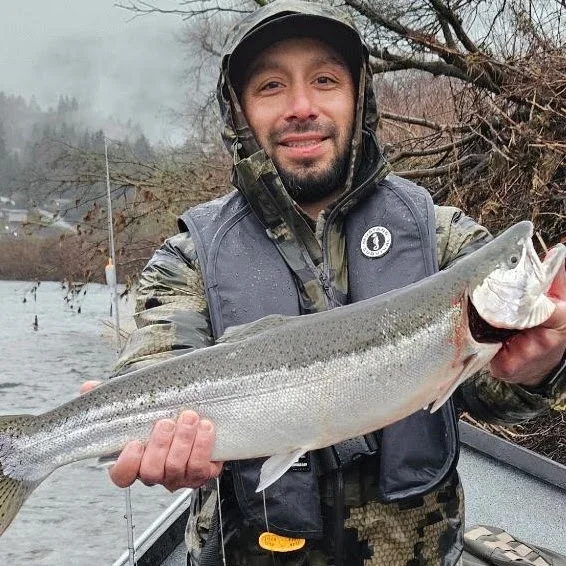 Steelhead Fishing Trip