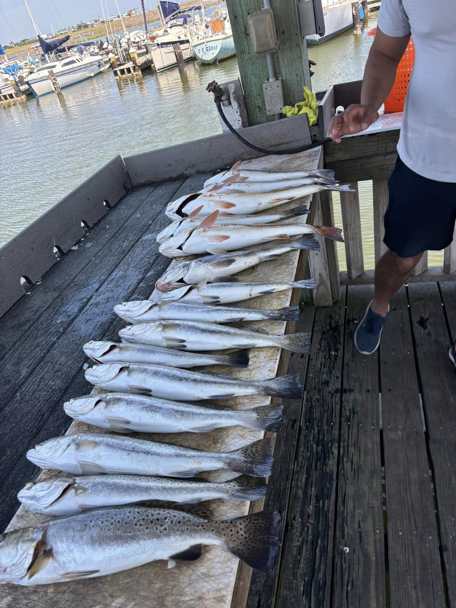 Fishing in Destin