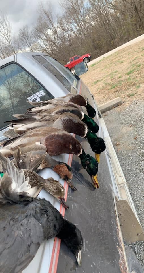 Duck Hunts In Clinton