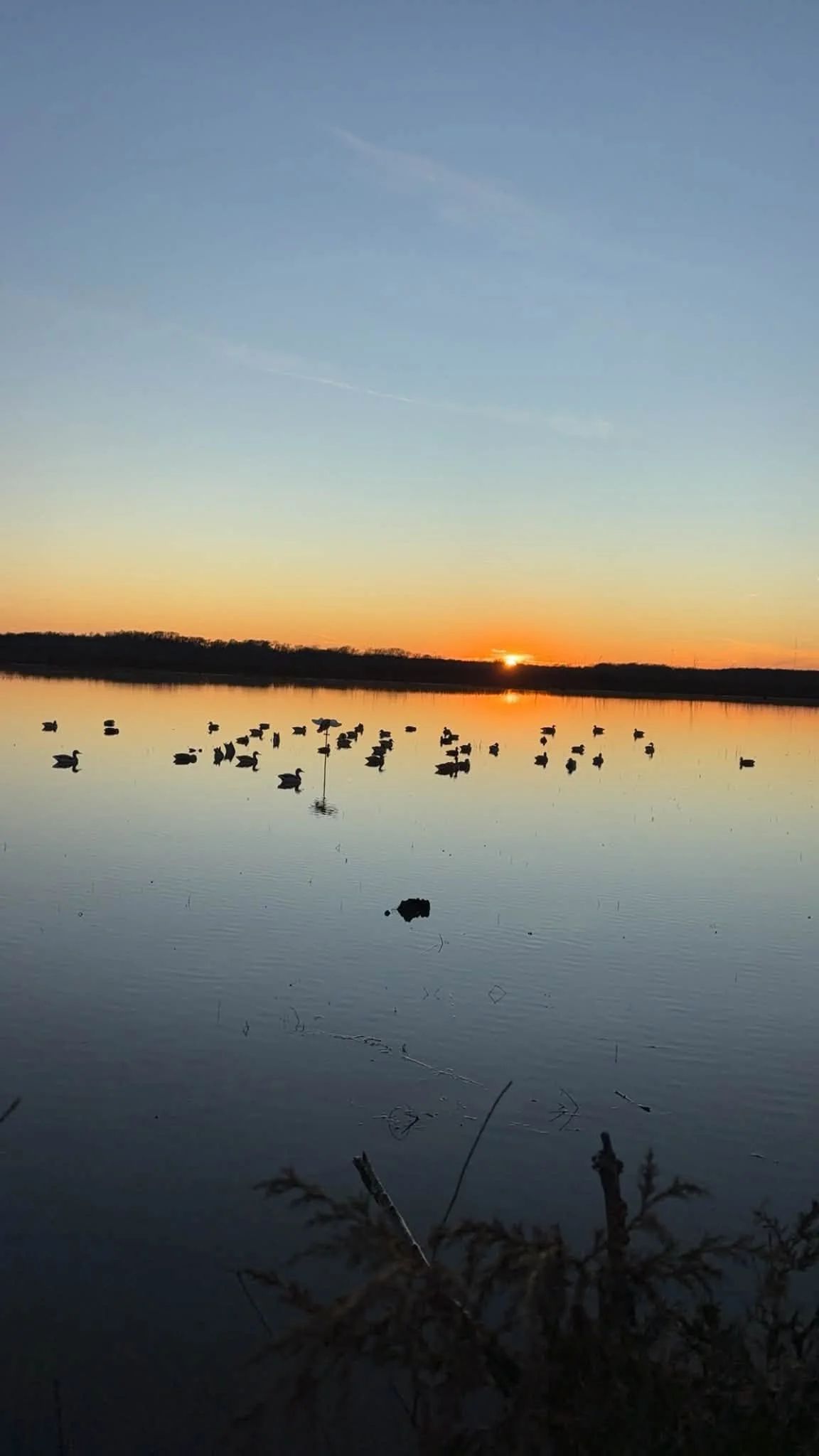 Duck Hunts In Clinton