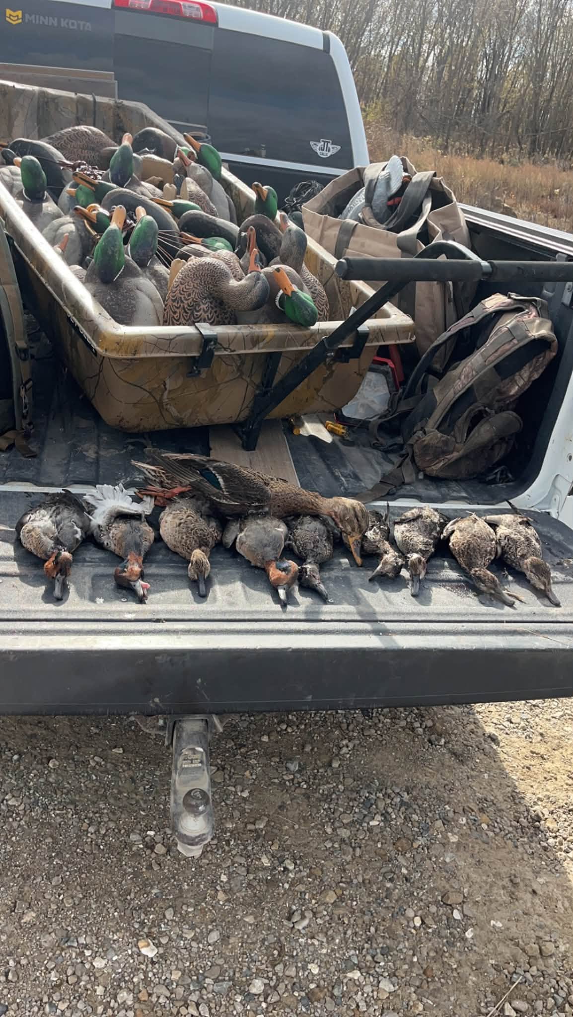 Duck Hunts