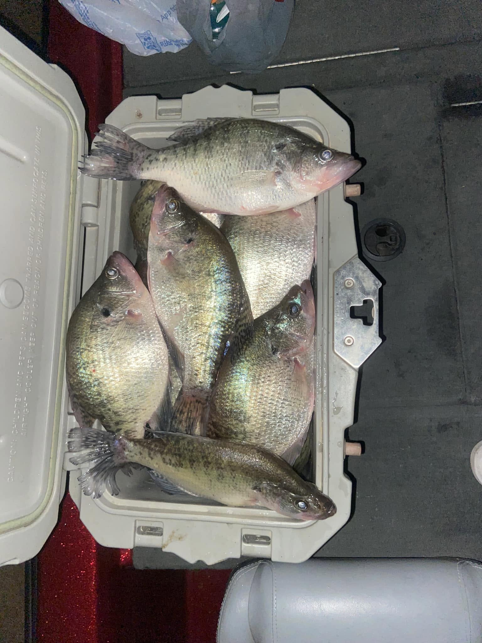 Crappie Fishing