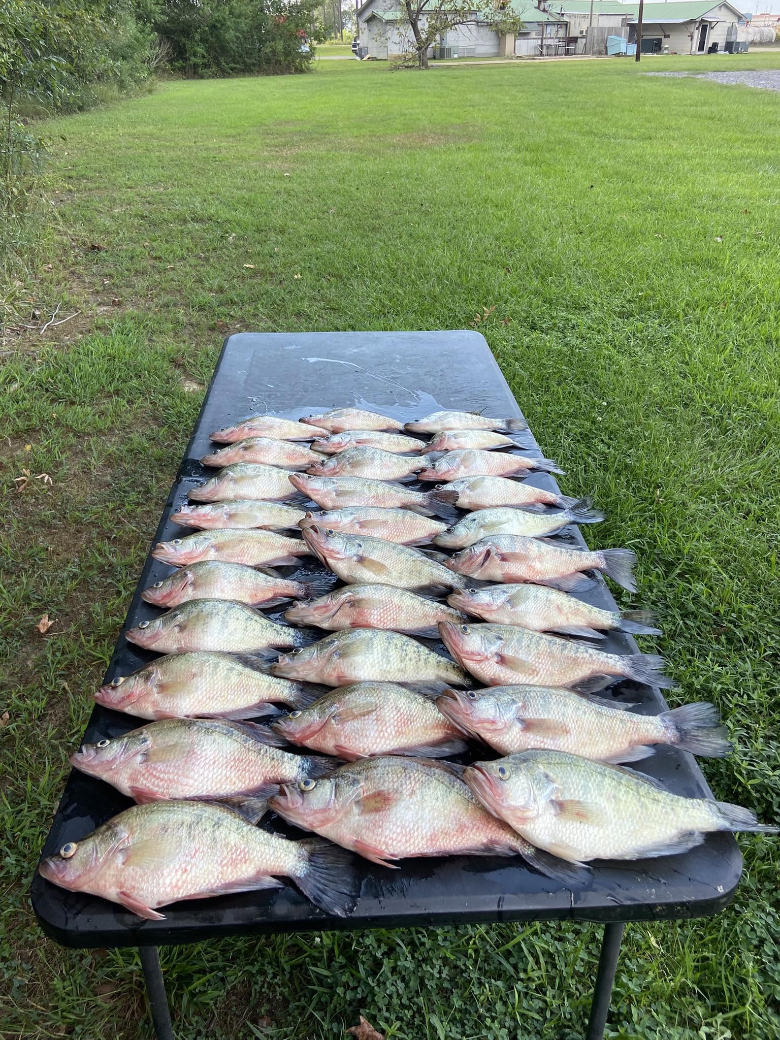 Crappie Fishing