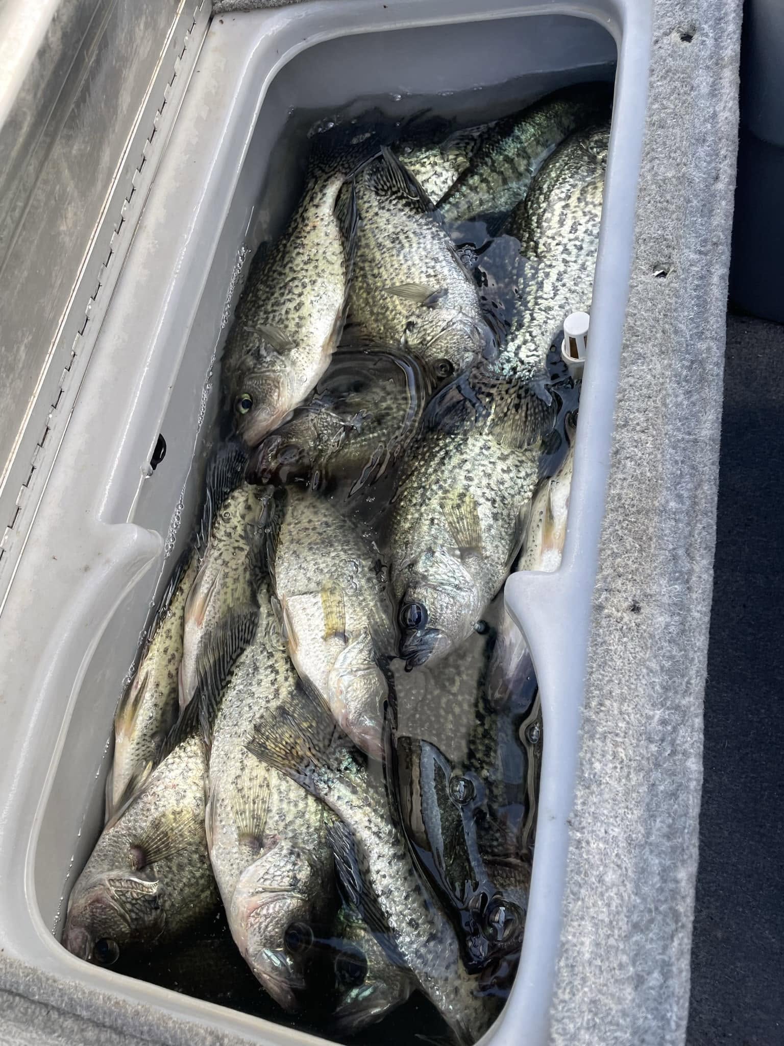 Crappie Fishing